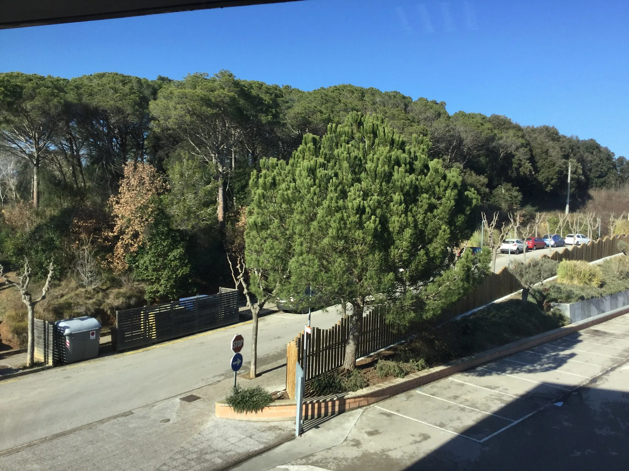Photo showing: Bosque situado al lado de la escuela y el instituto, Sant Gregori, Gironès, Spain