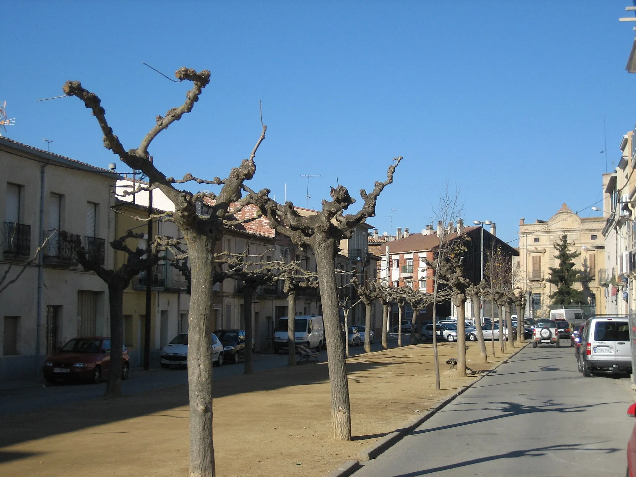 Photo showing: Passeig de Pompeu Fabra de Llagostera