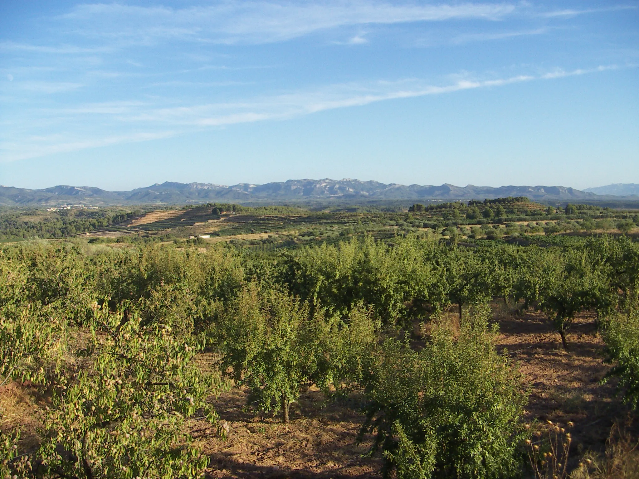 Photo showing: El Molar, Priorat