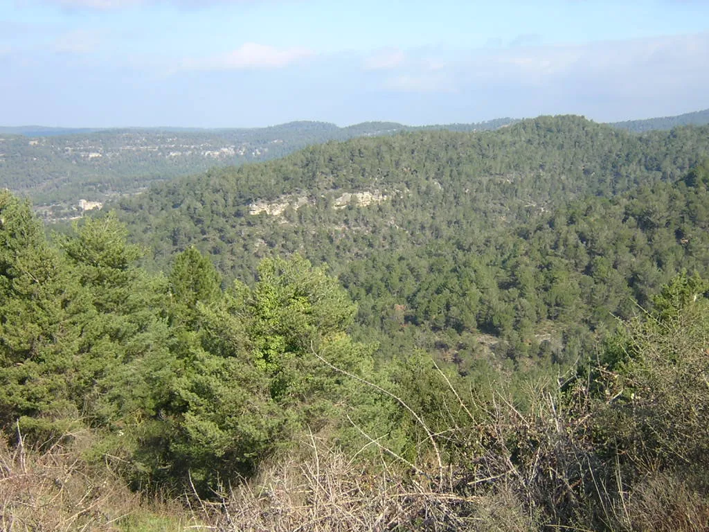 Photo showing: La Muntanya de la Sala, des del Coll (Monistrol de Calders, Moianès)