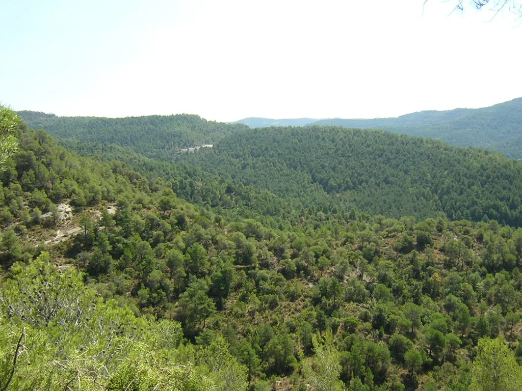 Photo showing: El Coll de Sant Llogari i la Carena de la Baga (Monistrol de Calders, Moianès)