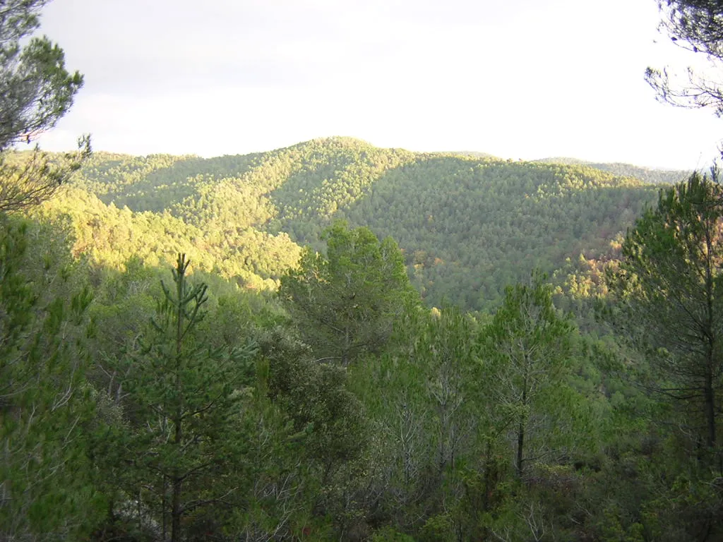 Photo showing: Serrat de Baiones (Monistrol de Calders, Moianès)