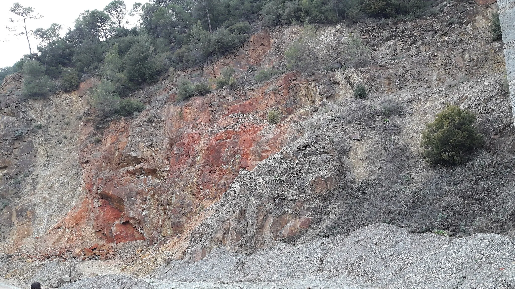 Photo showing: Pedrera vora la riera d'Avencó. Segons la descripció del web de l'empresa (pedralicorella.es), en treuen pissares amb tonalitats vermelloses. Segons la llegenda del Mapa Geològic de Catalunya, en aquesta zona tenim pissarres micacítiques i pissarres sorrenques, del Cambroordovicià a l'Ordovicià.