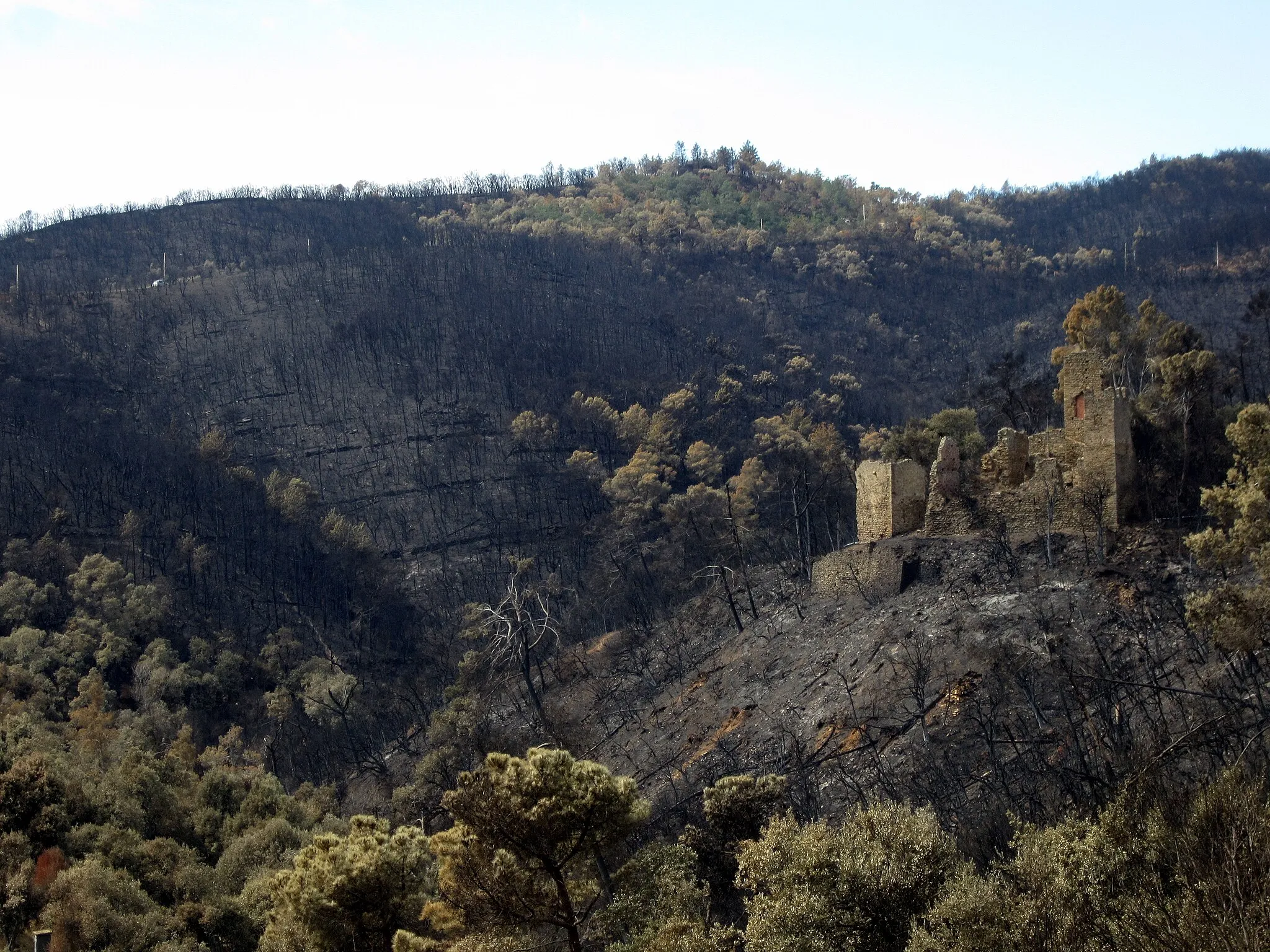 Photo showing: View of th Castell de Vila-romà after the wildfire of March 16th 2014.