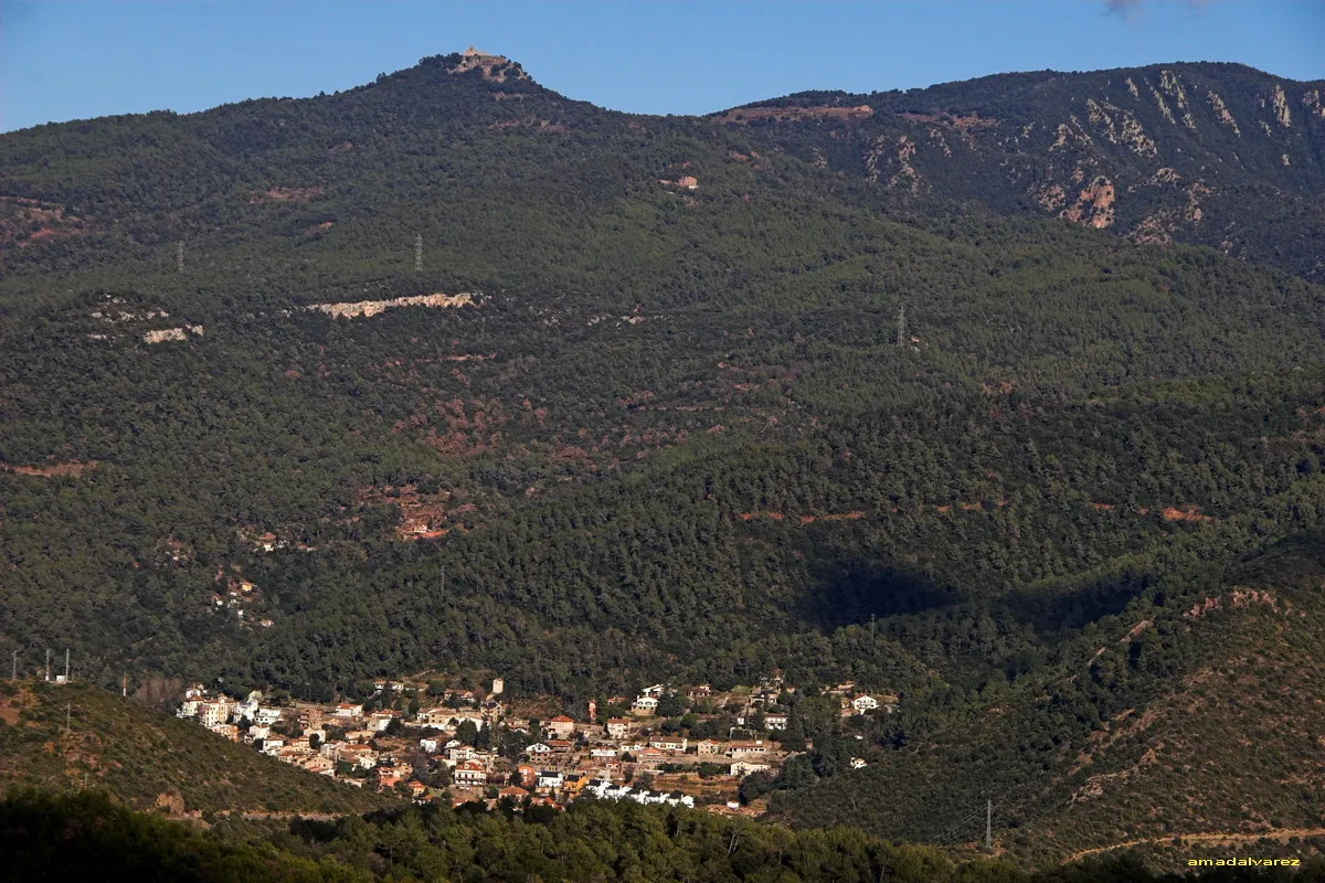 Photo showing: El Figaró vist des de "els Tremolencs", amb el Tagamanent al fons.

Village of El Figaró (Vallès Oriental, Catalonia) with Tagamanent mountain behind.