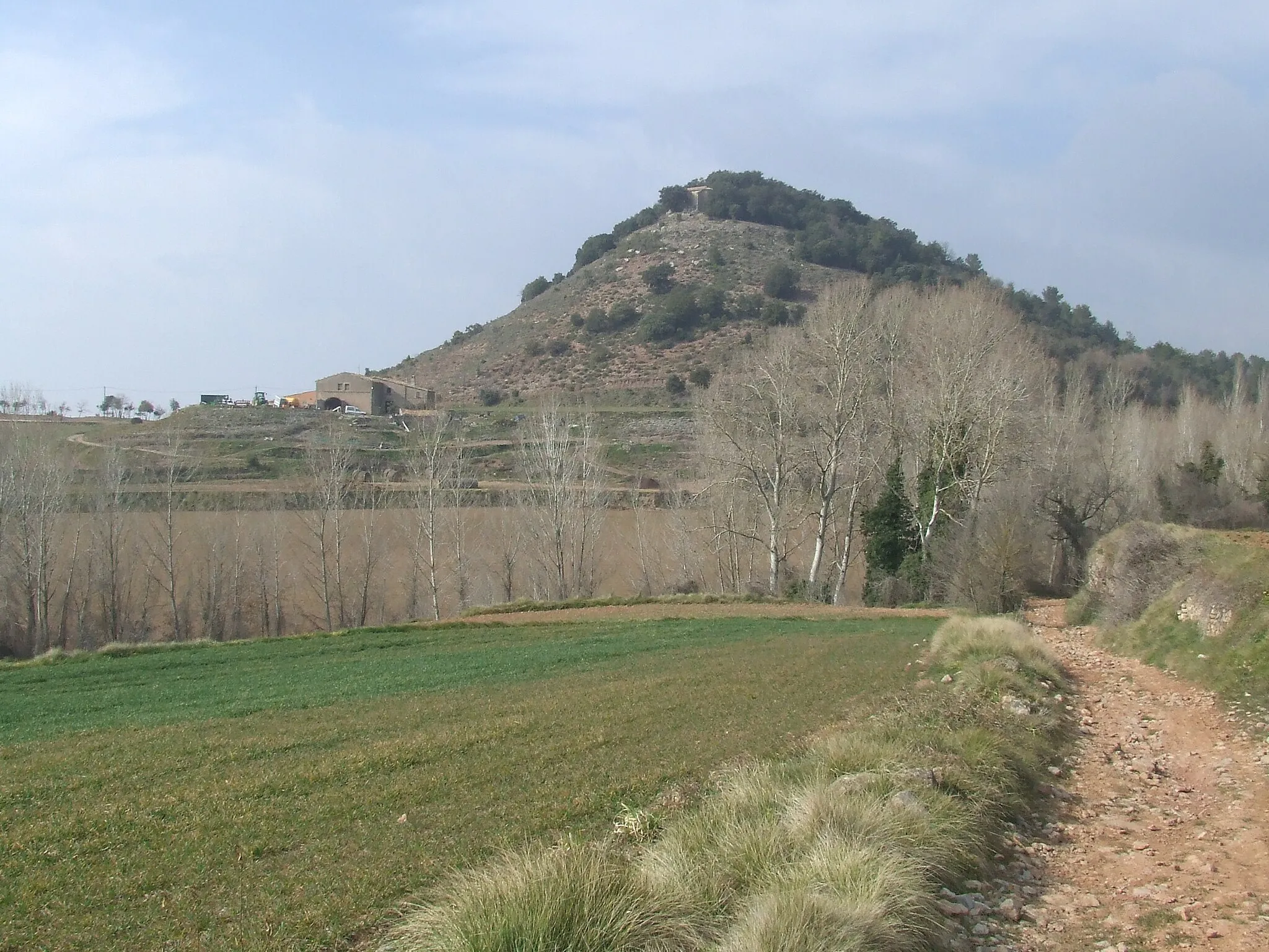 Photo showing: Turó de Sant Andreu (Moià, Moianès)