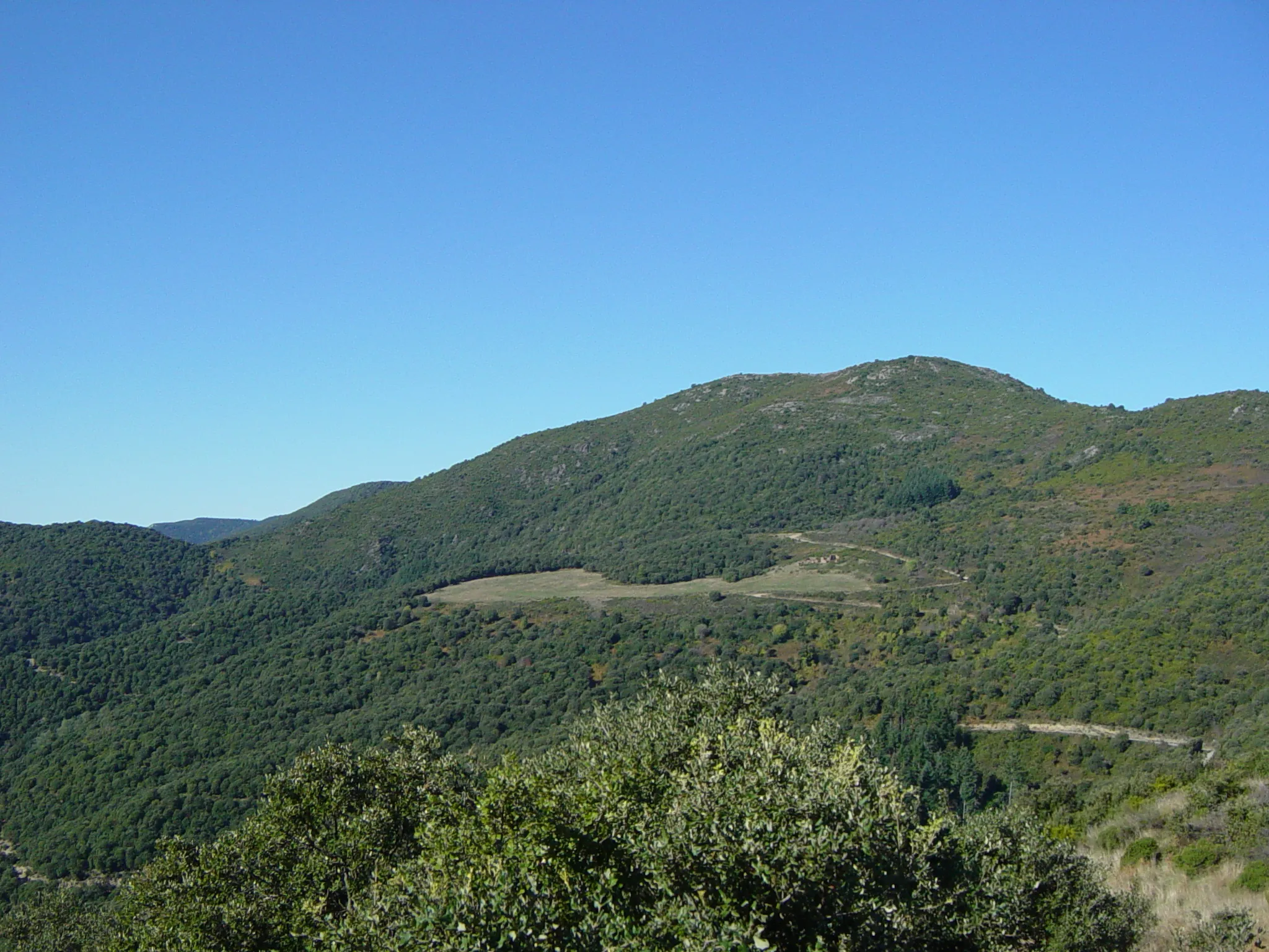 Photo showing: Turó del Samont (1272m) a Sant Pere de Vilamajor