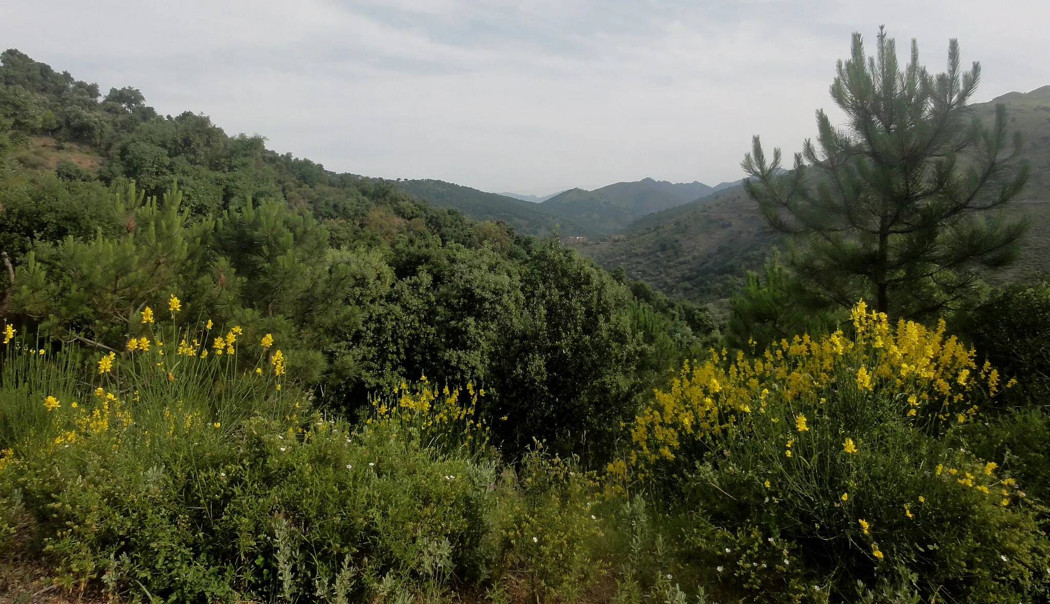 Photo showing: This is a a photo of a natural area in Catalonia, Spain, with id: