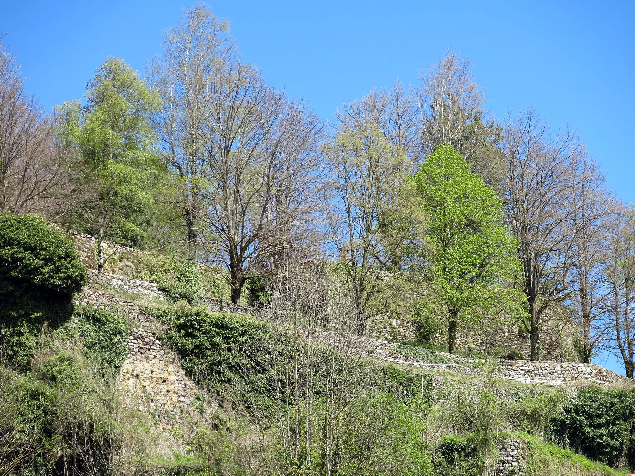 Photo showing: Castell de Camprodon