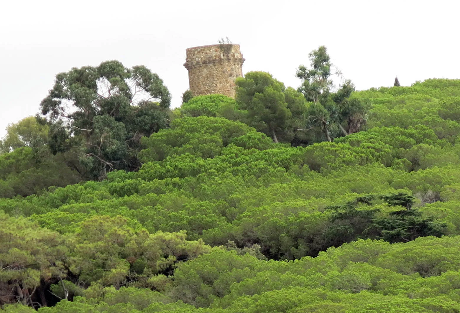 Photo showing: Torre dels Encantats (Arenys de Mar)