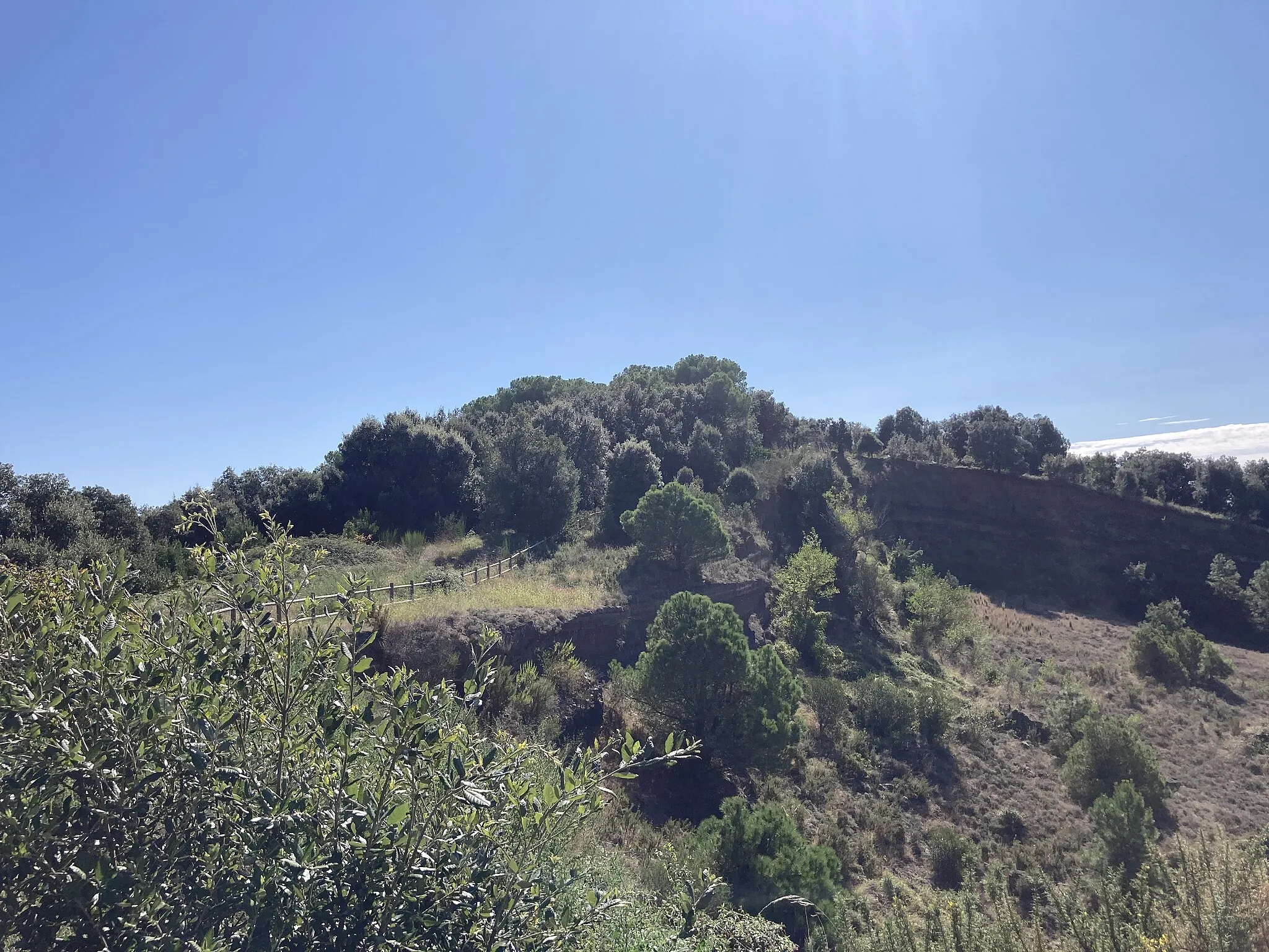 Photo showing: Turó de Sant Llop