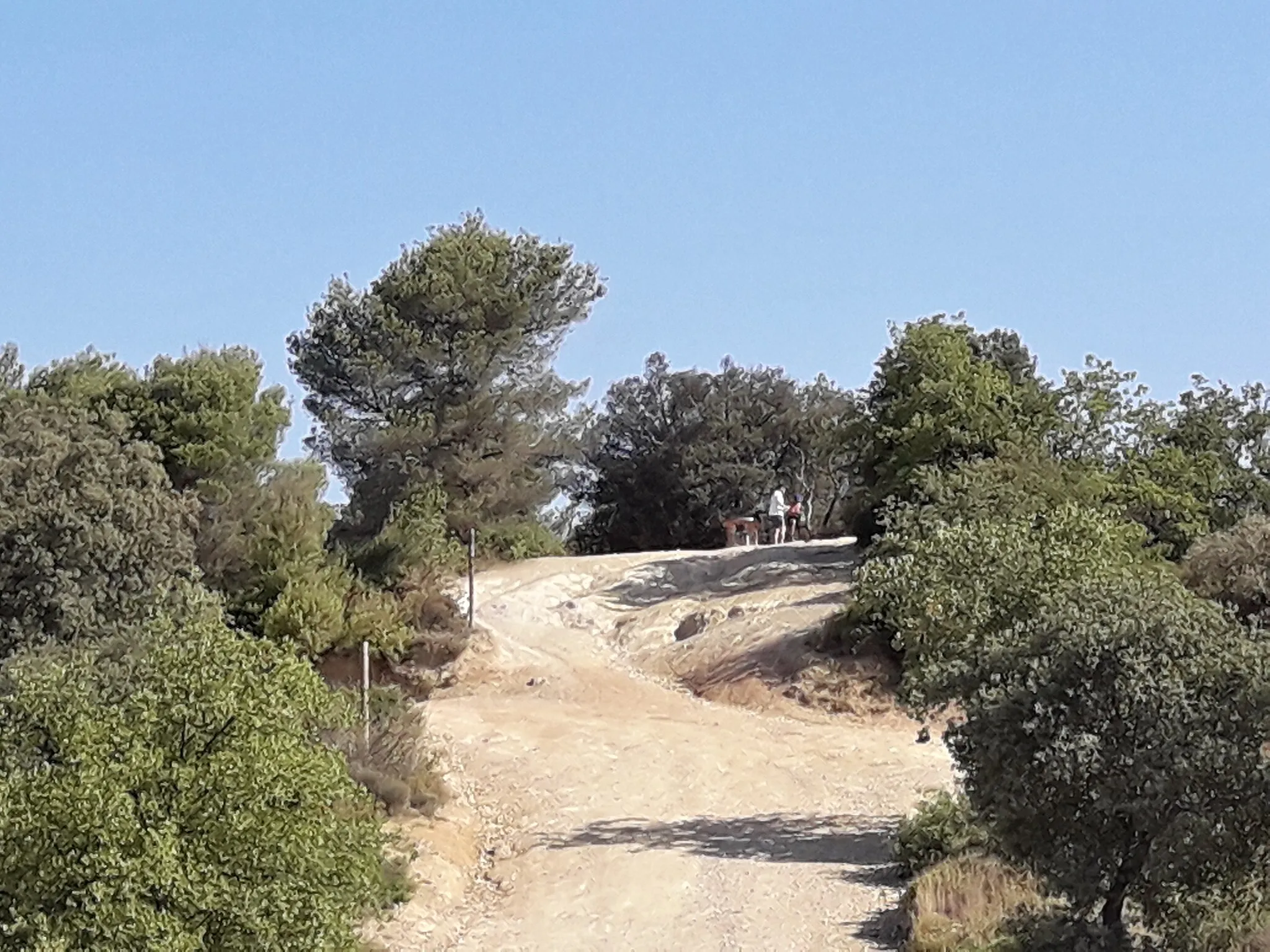 Photo showing: Turó de Mataric, entre Sant Cugat, Sant Quirze i Cerdanyola