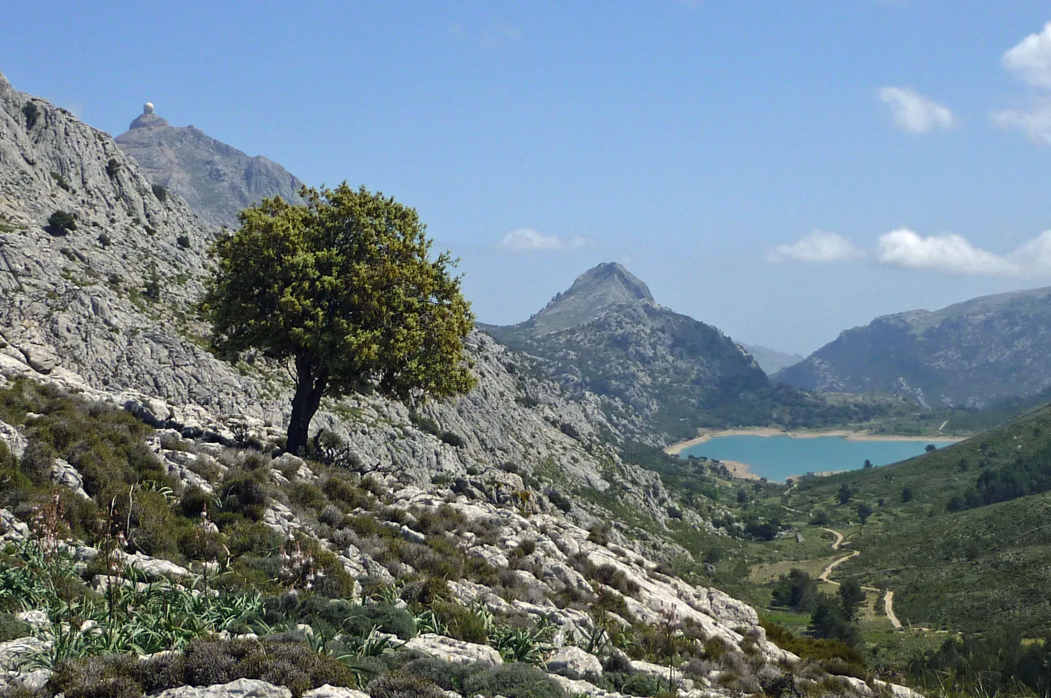 Photo showing: Blick vom Coll de l´Offre zum Cuber-Stausee auf der Insel Mallorca