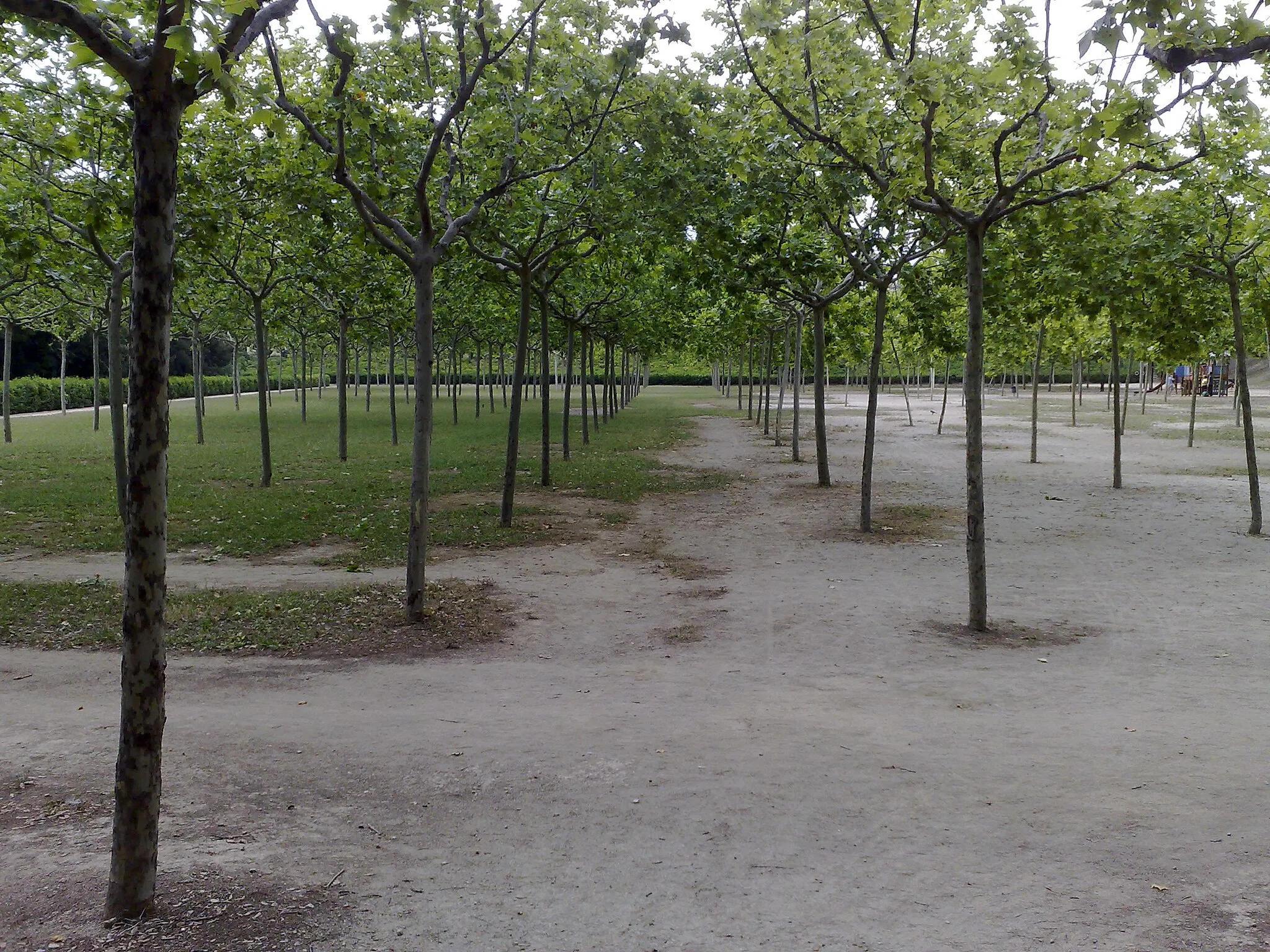 Photo showing: Parque de Torreblanca