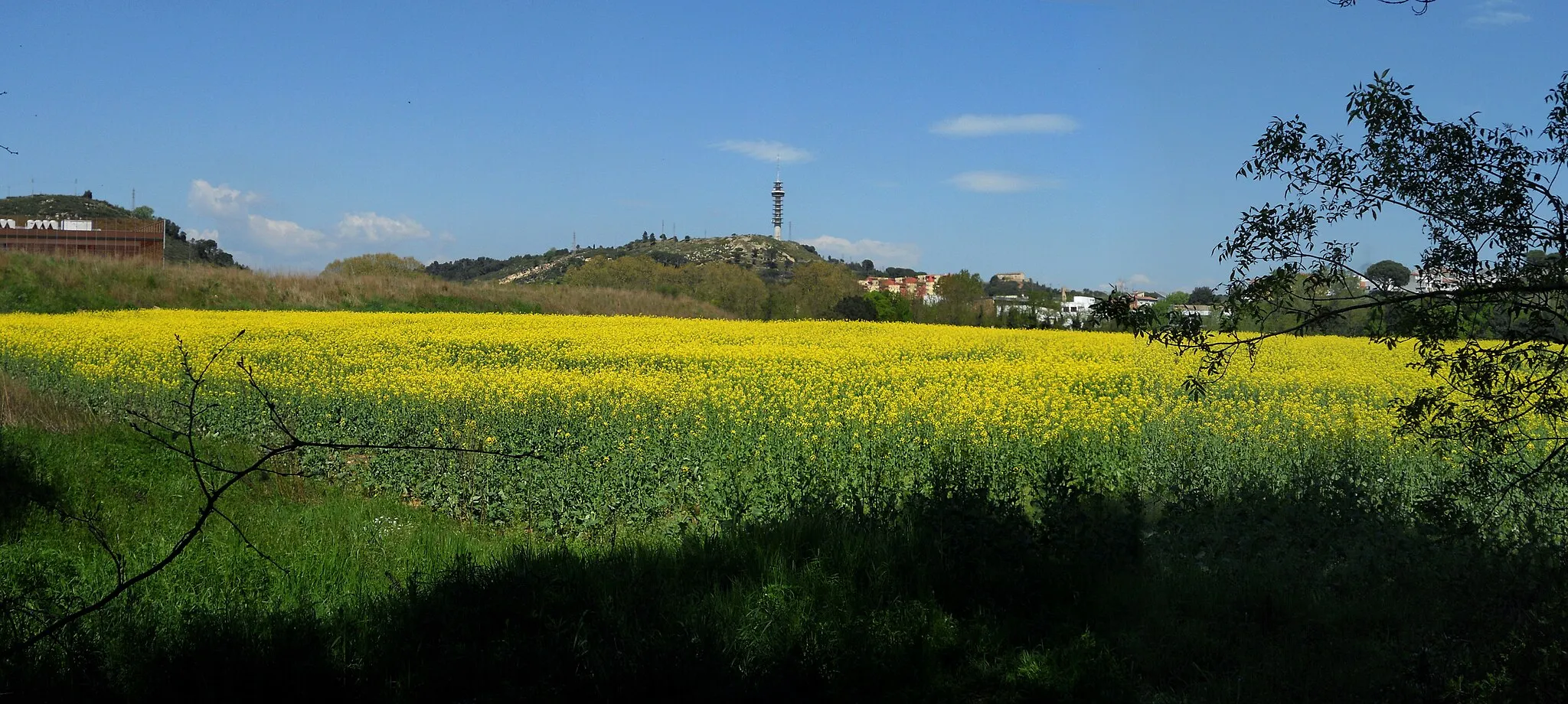 Photo showing: NATURA A GIRONA