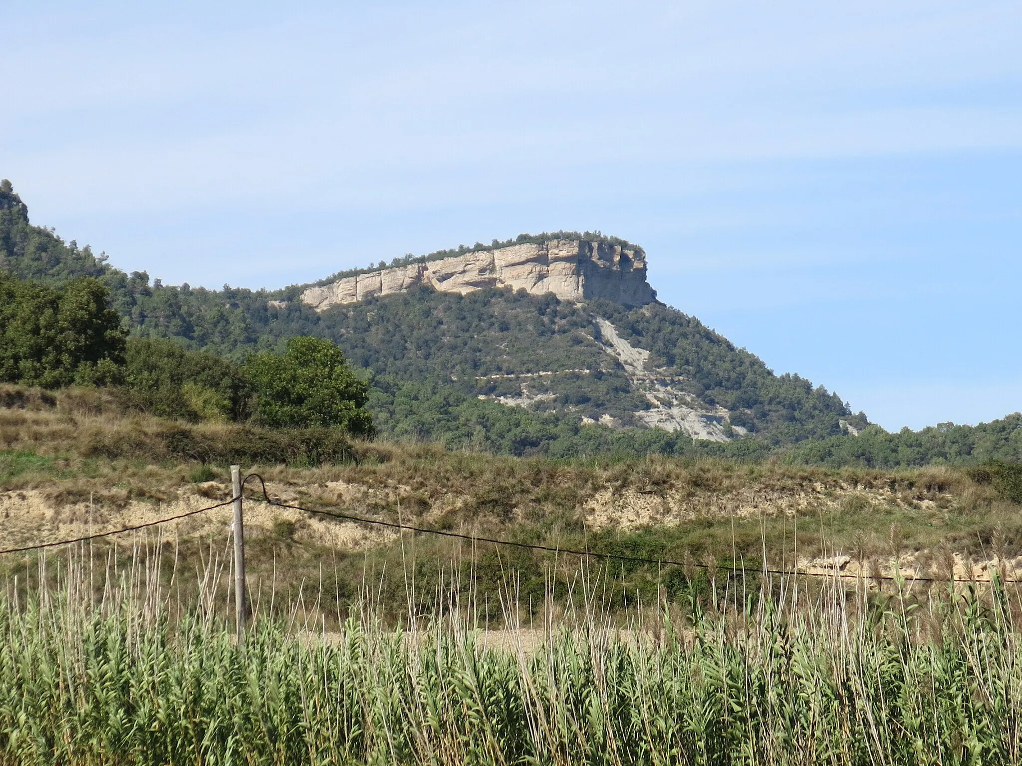 Photo showing: El roc de la Guàrdia des del camí de l'Estrada (Balenyà)