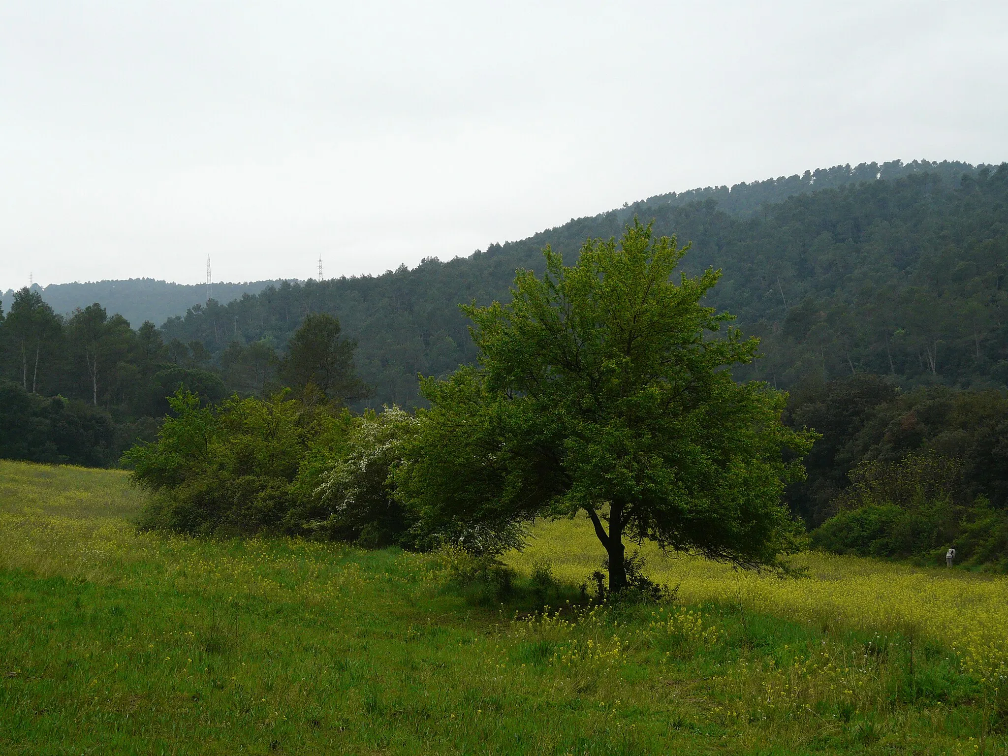 Photo showing: This is a a photo of a natural area in Catalonia, Spain, with id: