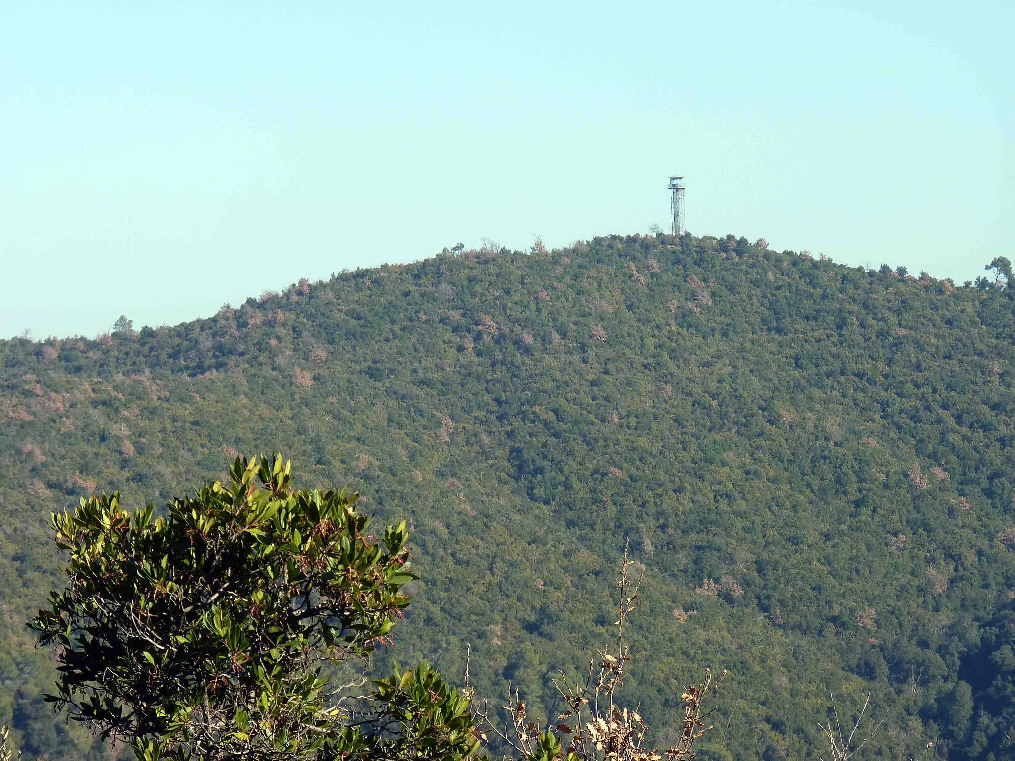 Photo showing: Turó del Fumet desde aprop del Turó d'en Balasc