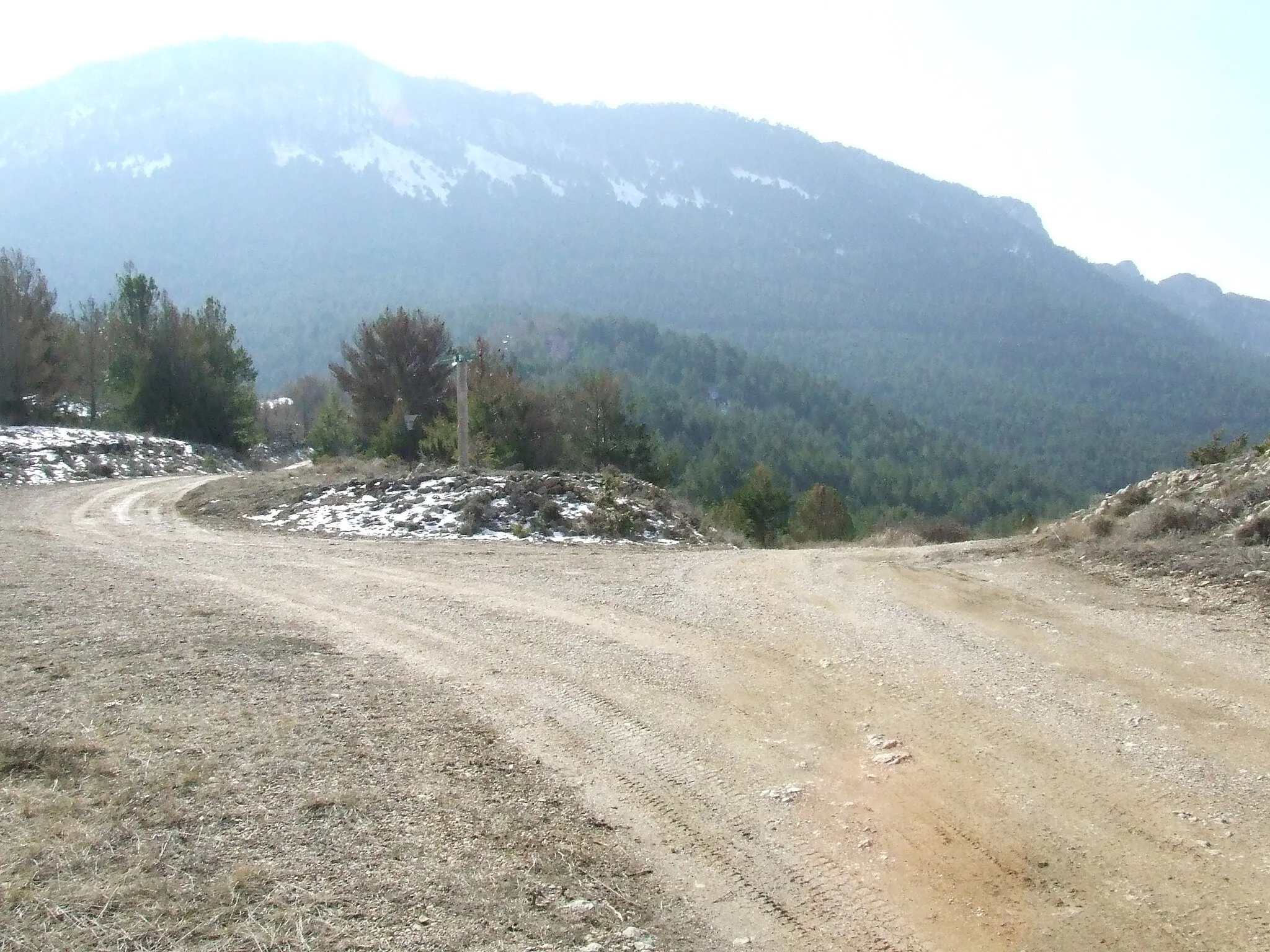 Photo showing: La Colla de la Serra del Pi, la Carretera del Bosc d'Abella i la Pista de Carrànima (Bóixols, Abella de la Conca, Pallars Jussà)