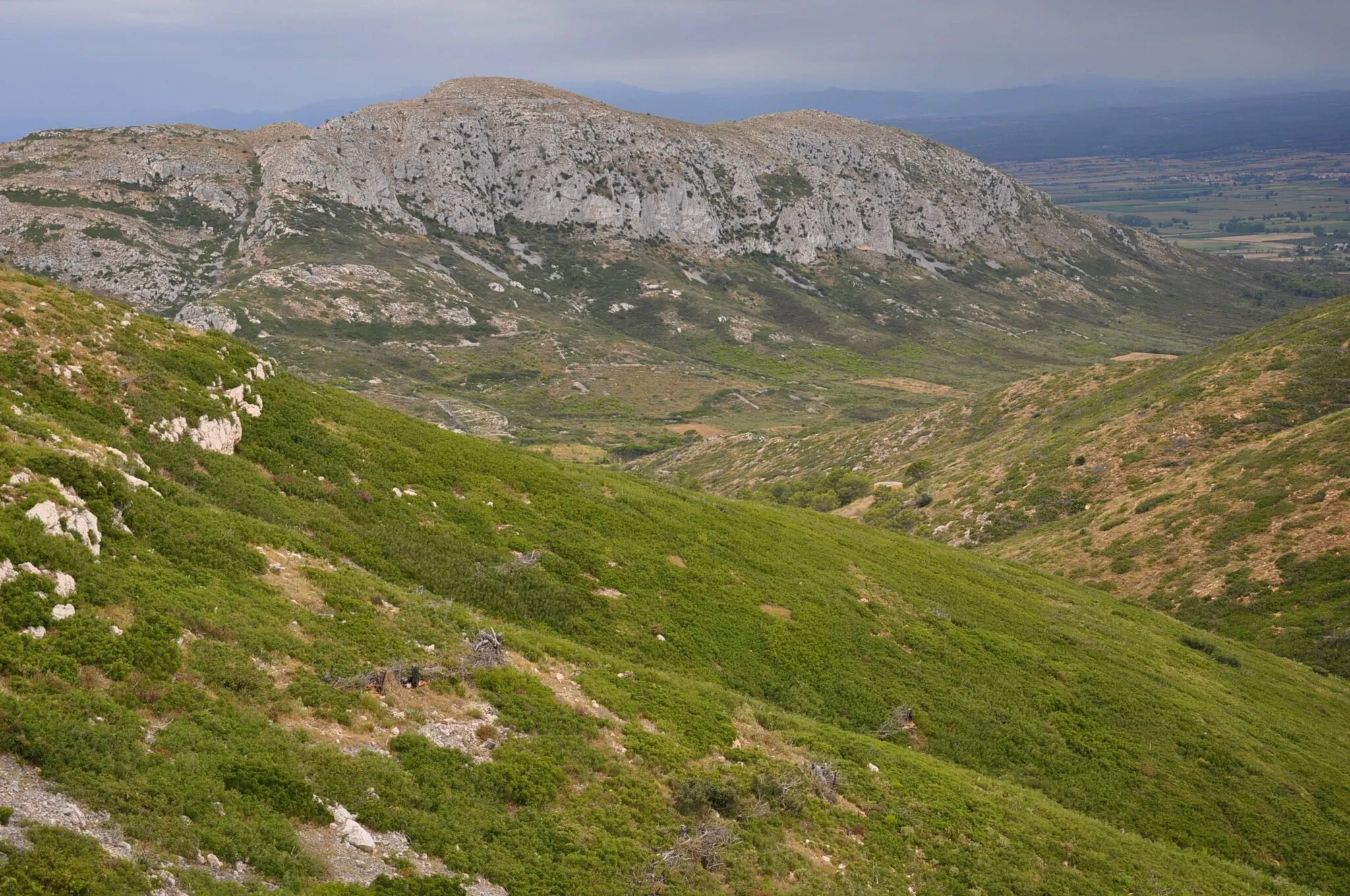 Photo showing: A landscape in the Montgrí Massif (Catalonia, Spain), with the Valley of Santa Caterina and the rocky Muntanya d'Ullà ('Mountain of Ullà'), seen from the north slope of Montplà. Direction of view is toward the West.