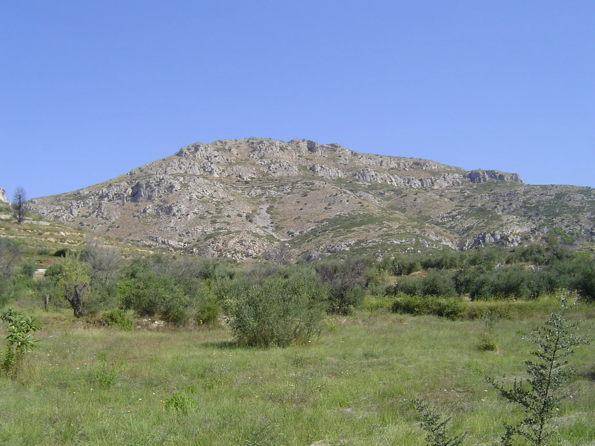 Photo showing: Montplà (Torroella de Montgrí) spilling south.
