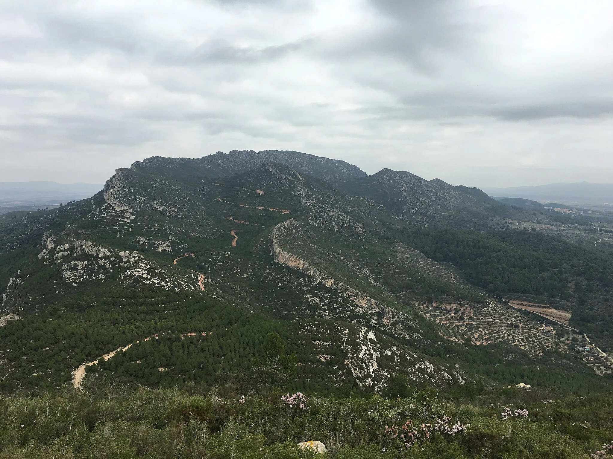 Photo showing: Vista de la Serra de les Guixeres des del Puigcabrer