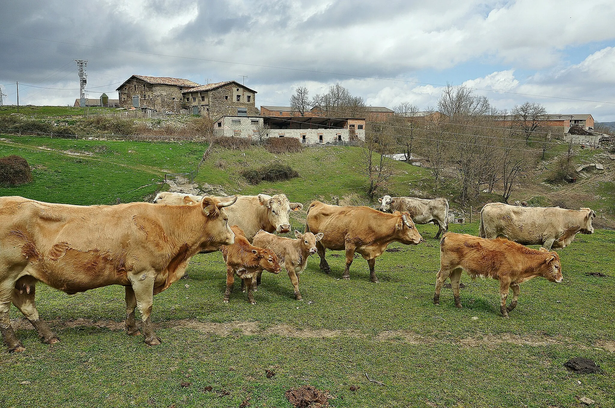 Photo showing: osona-cataluña