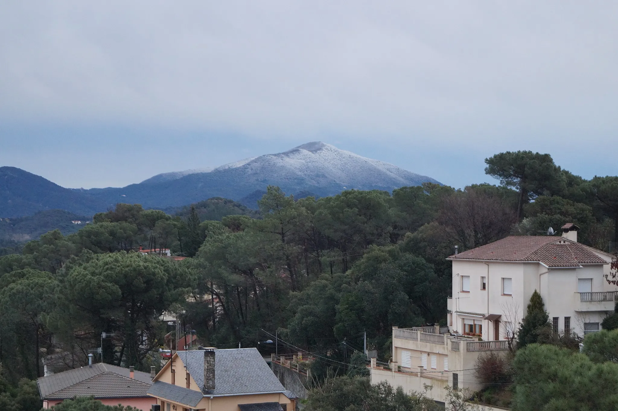 Photo showing: Turó d'en Vives in the Montnegre mountain range on March 20, 2018