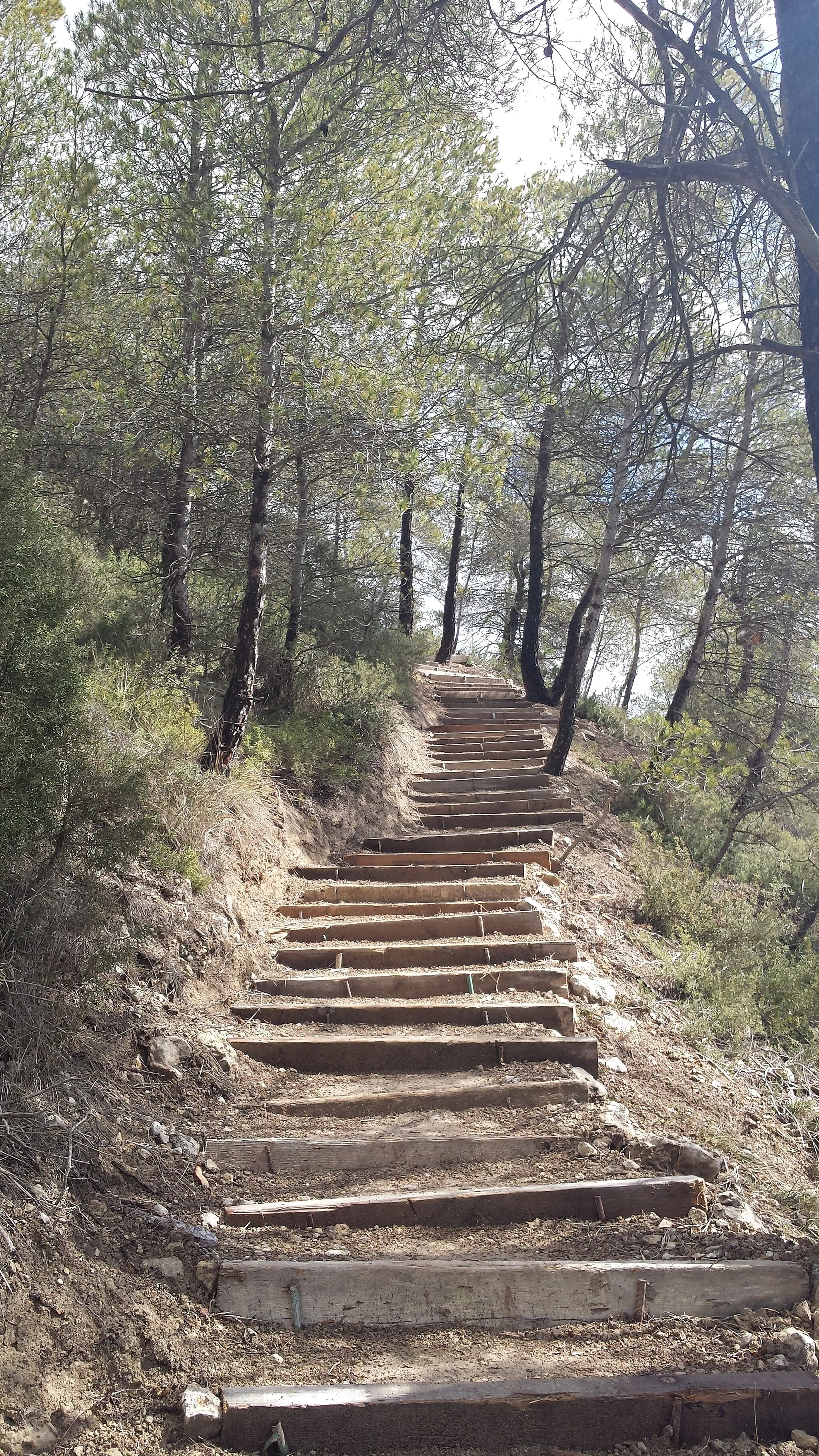 Photo showing: Camí d'accés al Pujol de la Guàrdia.