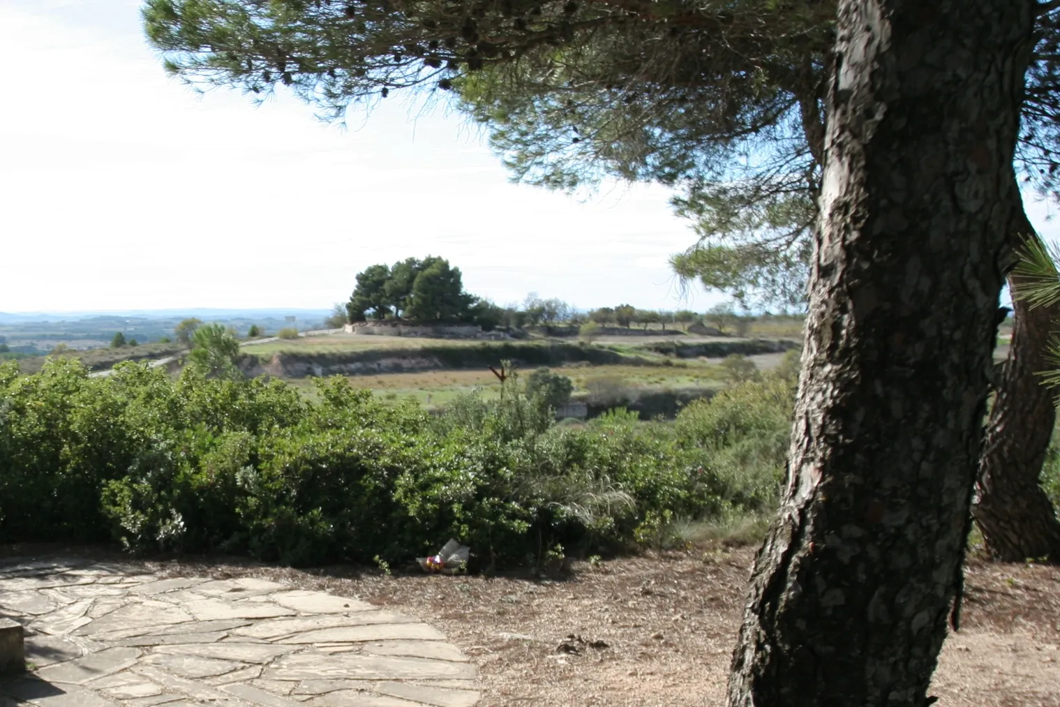 Photo showing: Vilalba dels Arcs, site of heavy fighting between the Republican 31. Mixed Brigade and the Carlist Requete battalion of Tercio de Nuestra Senora de Montserrat, taking place on August 19, 1938. View from Punta Targa (Cota 481), objective of the Carlist attack, to Cuatro Caminos (Cota 427), the Carlist original position; detailed account and sketch here. On the visible distance of 250 metres the Carlists lost 58 KIA and 174 WIA; Republican casualties are not known. The cross at Cota 427 was erected in 1968, see La Vanguardia 18.05.68, available here