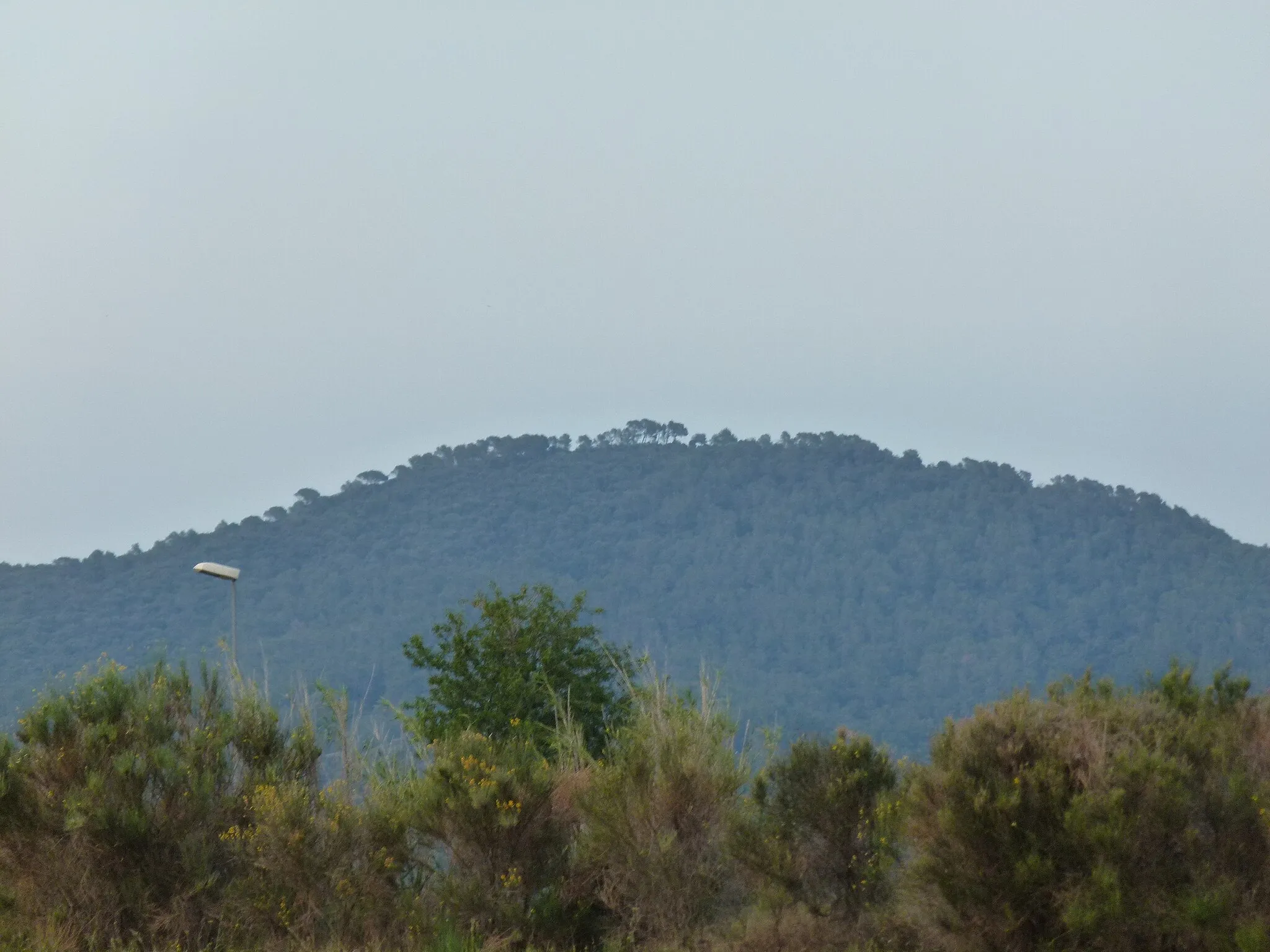 Photo showing: Mont-rodon