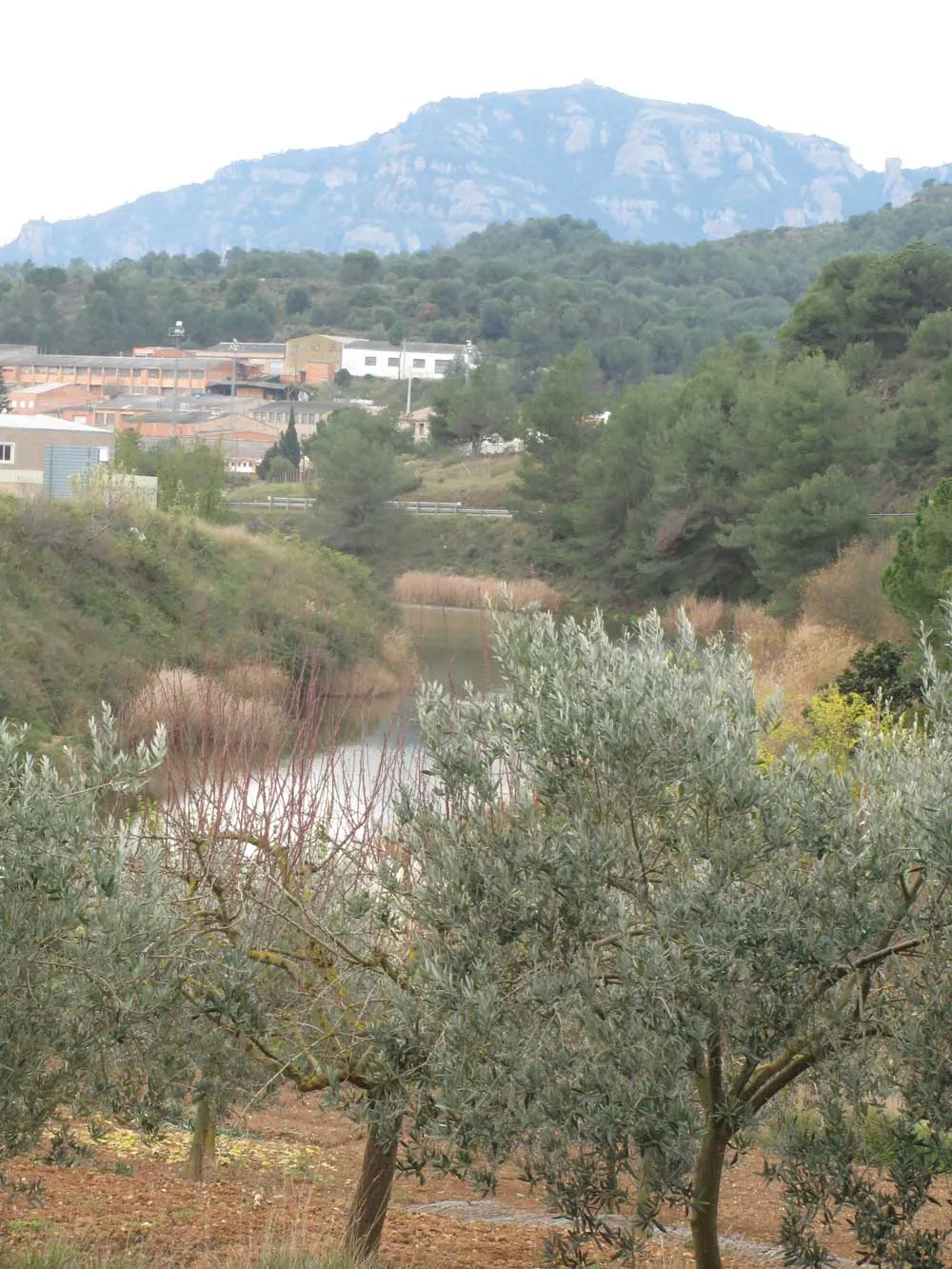 Photo showing: Sant Llorenç Savall. Vista de la Mola i del Ripoll a les afores del poble.