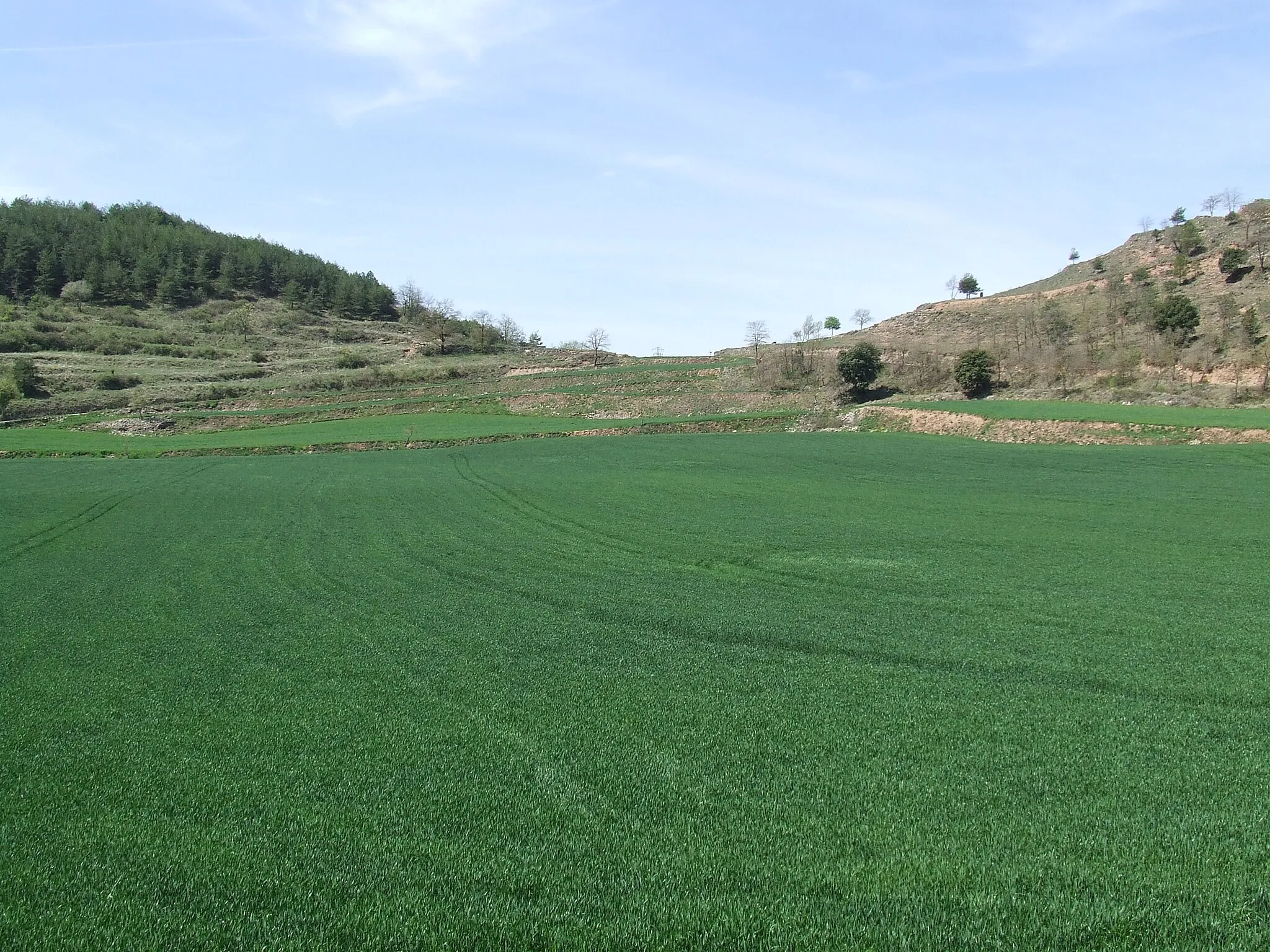 Photo showing: El Pla de la Crosa (l'Estany, Moianès)