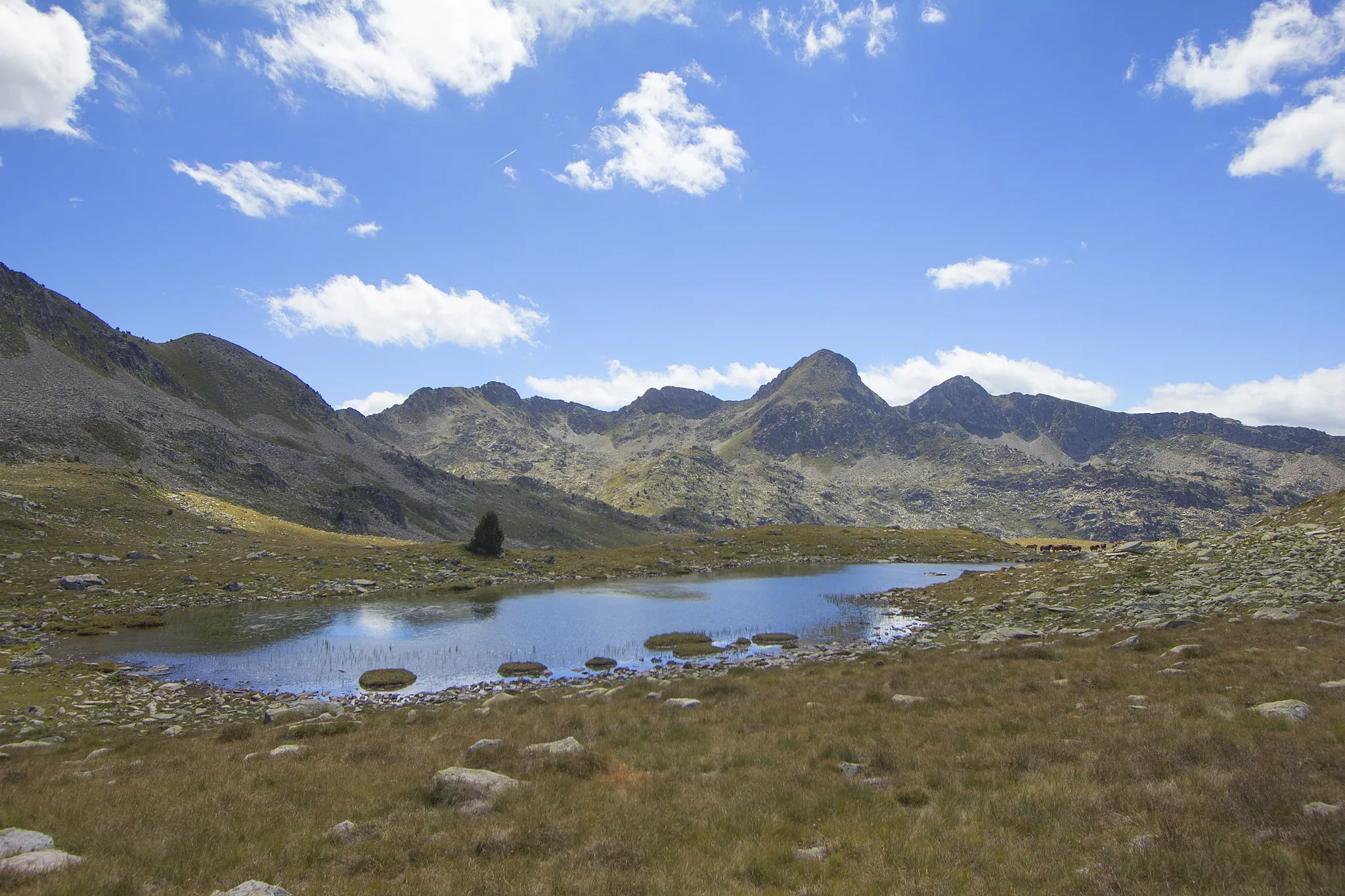 Photo showing: Tuc de la Llança (esquerra) i Escornacrabes (dreta), massis de Beret (vall d'Aran)