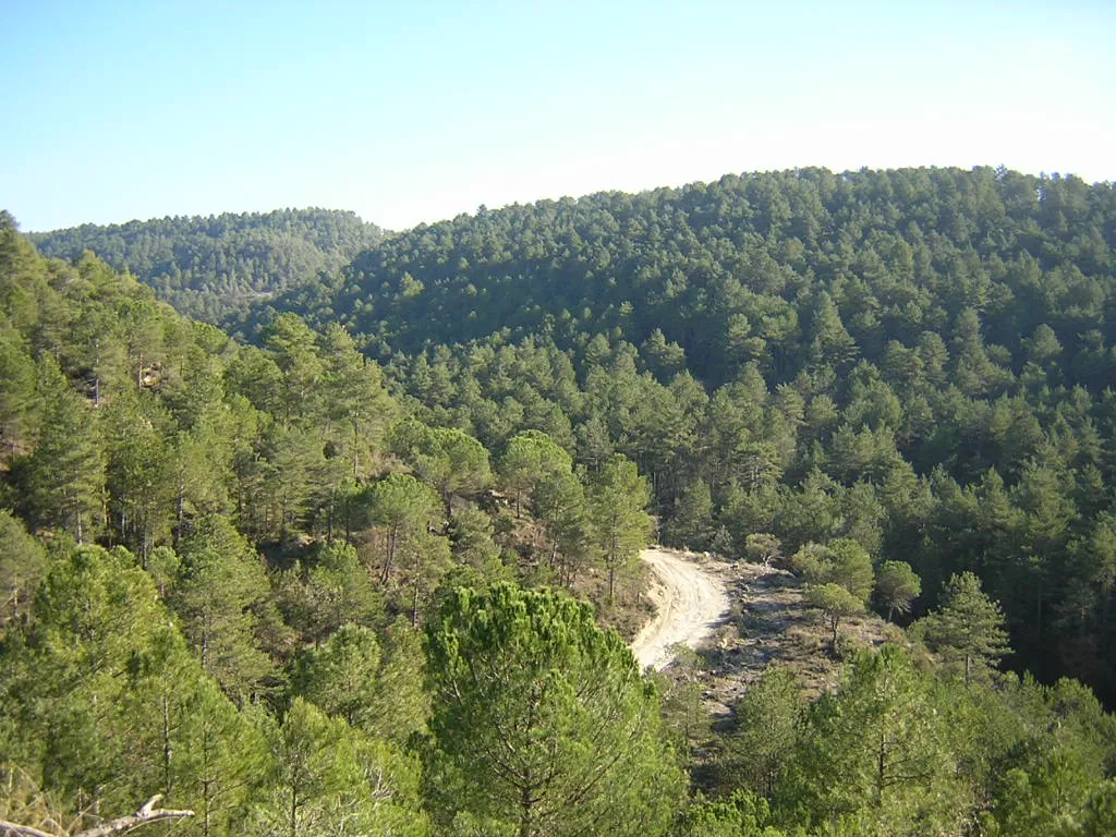 Photo showing: La Carena de la Baga de Vall-llosera (Monistrol de Calders, Moianès)