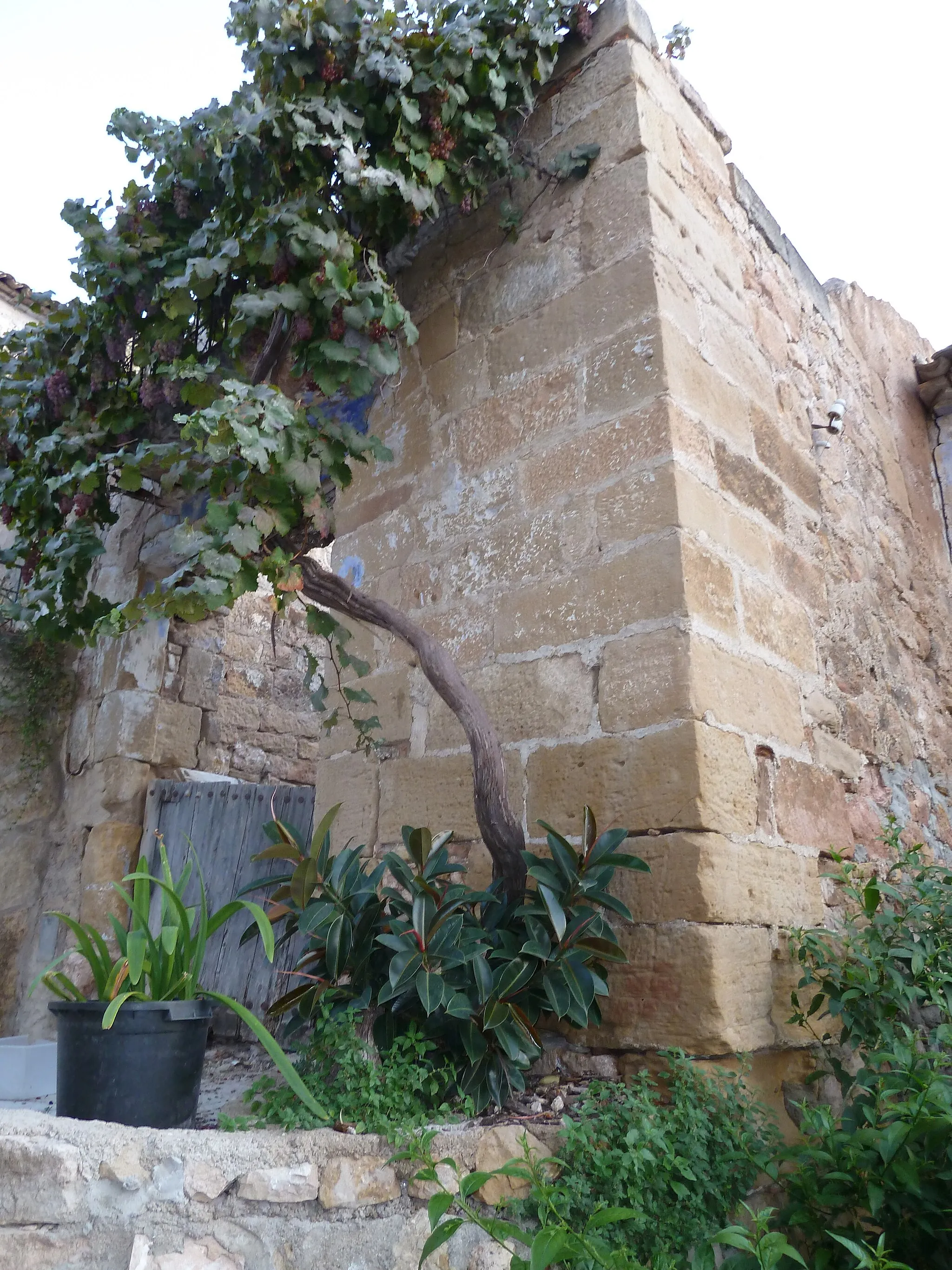 Photo showing: Castell de Benifallet