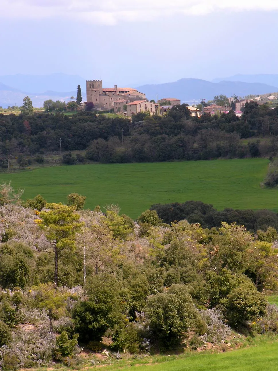 Photo showing: Monestir de Santa Maria de Serrateix (Viver i Serrateix)