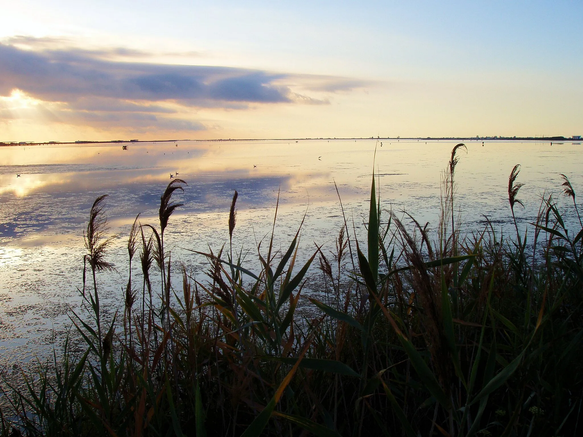 Photo showing: Amanece en el Delta del Ebro

Amanece en el Delta del Ebro