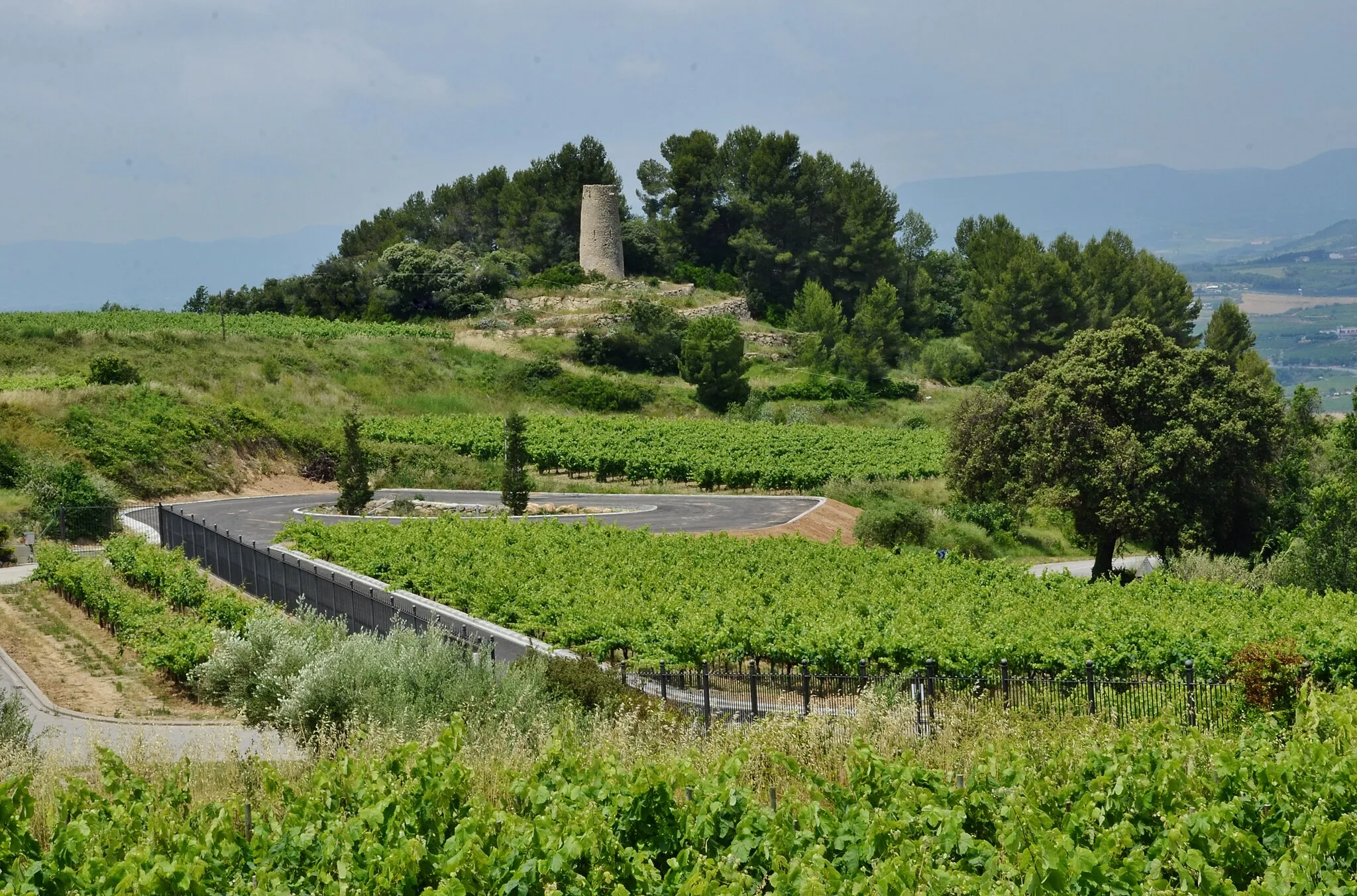 Photo showing: Torre de can Llopart