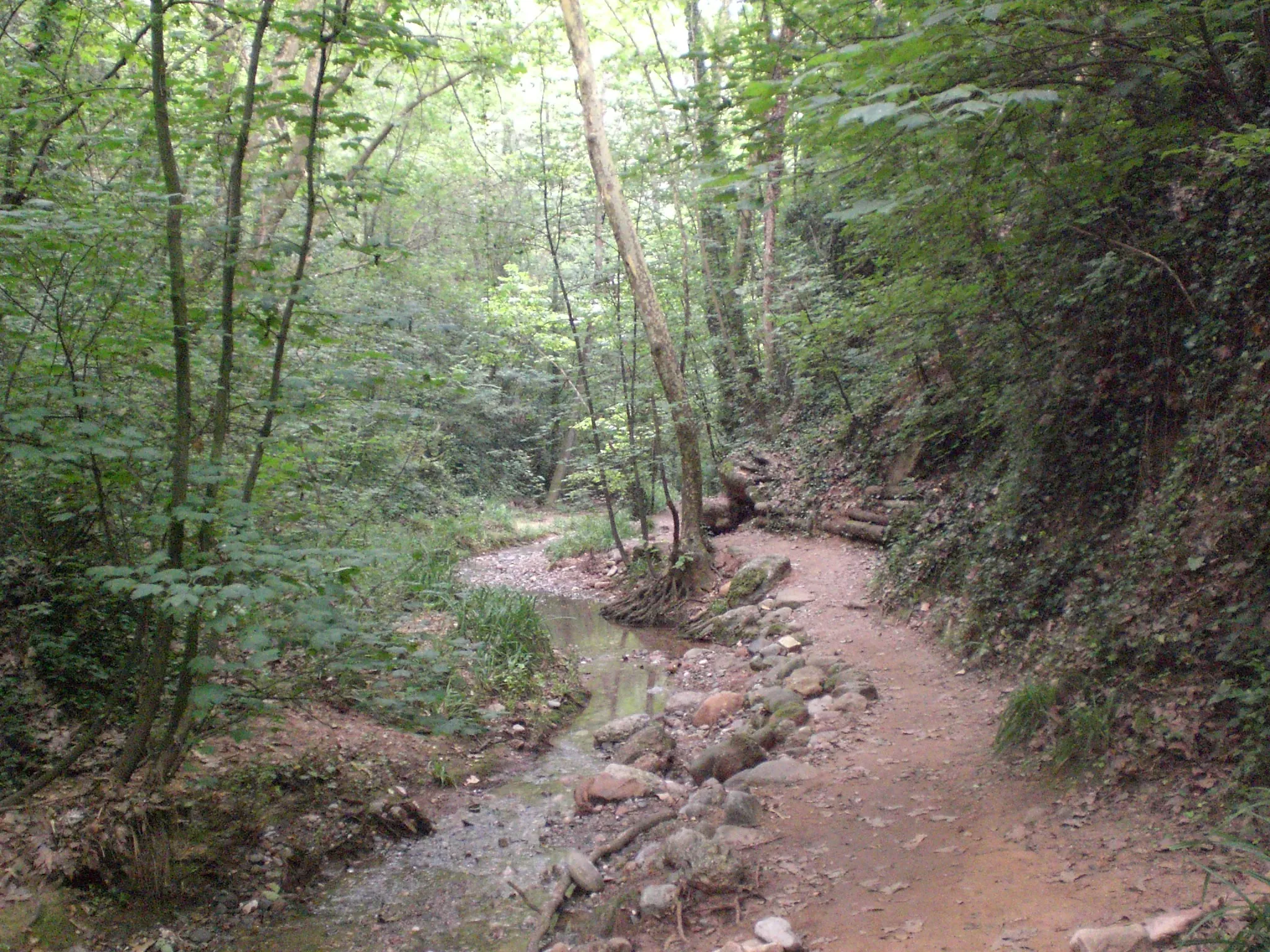 Photo showing: Torrent de Colobrers (juliol 2011)