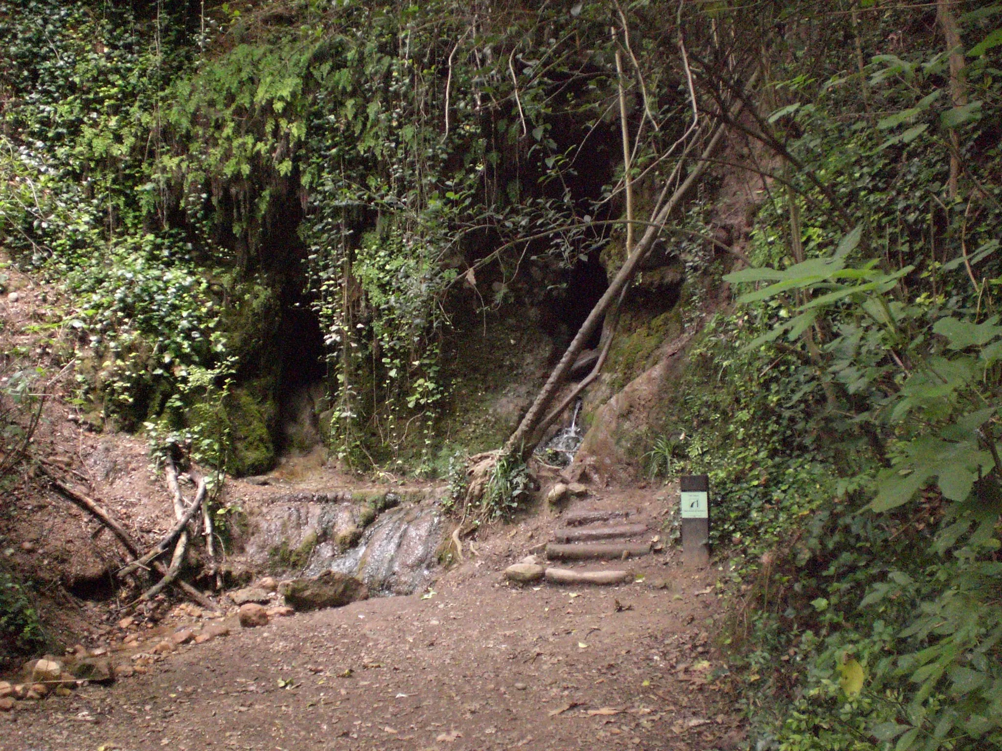 Photo showing: Font de la Tosca, Torrent de Colobrers (juliol 2011)