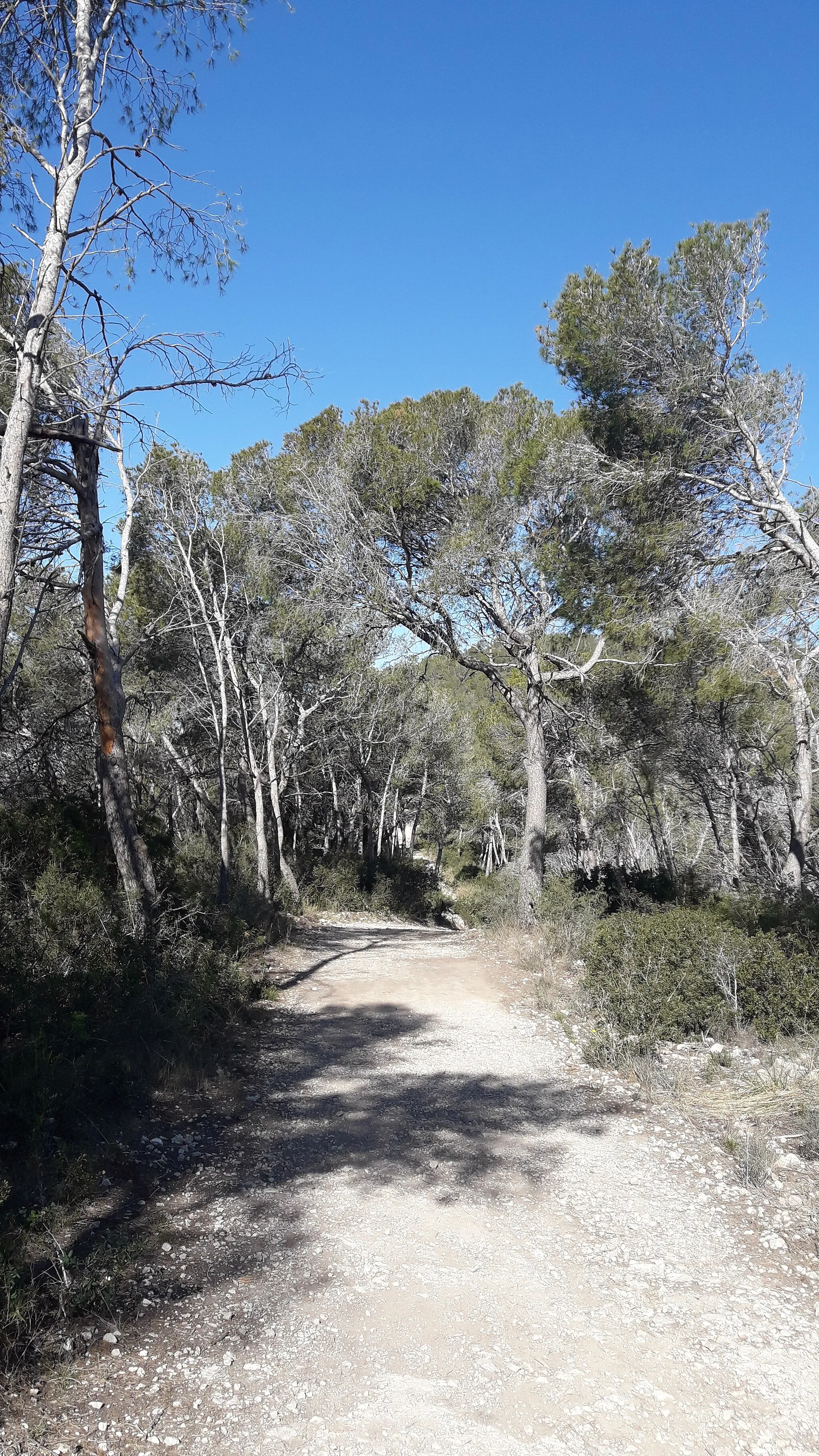 Photo showing: GR 92 entre el puig de Sant Isidre i l'ermita de la Trinitat