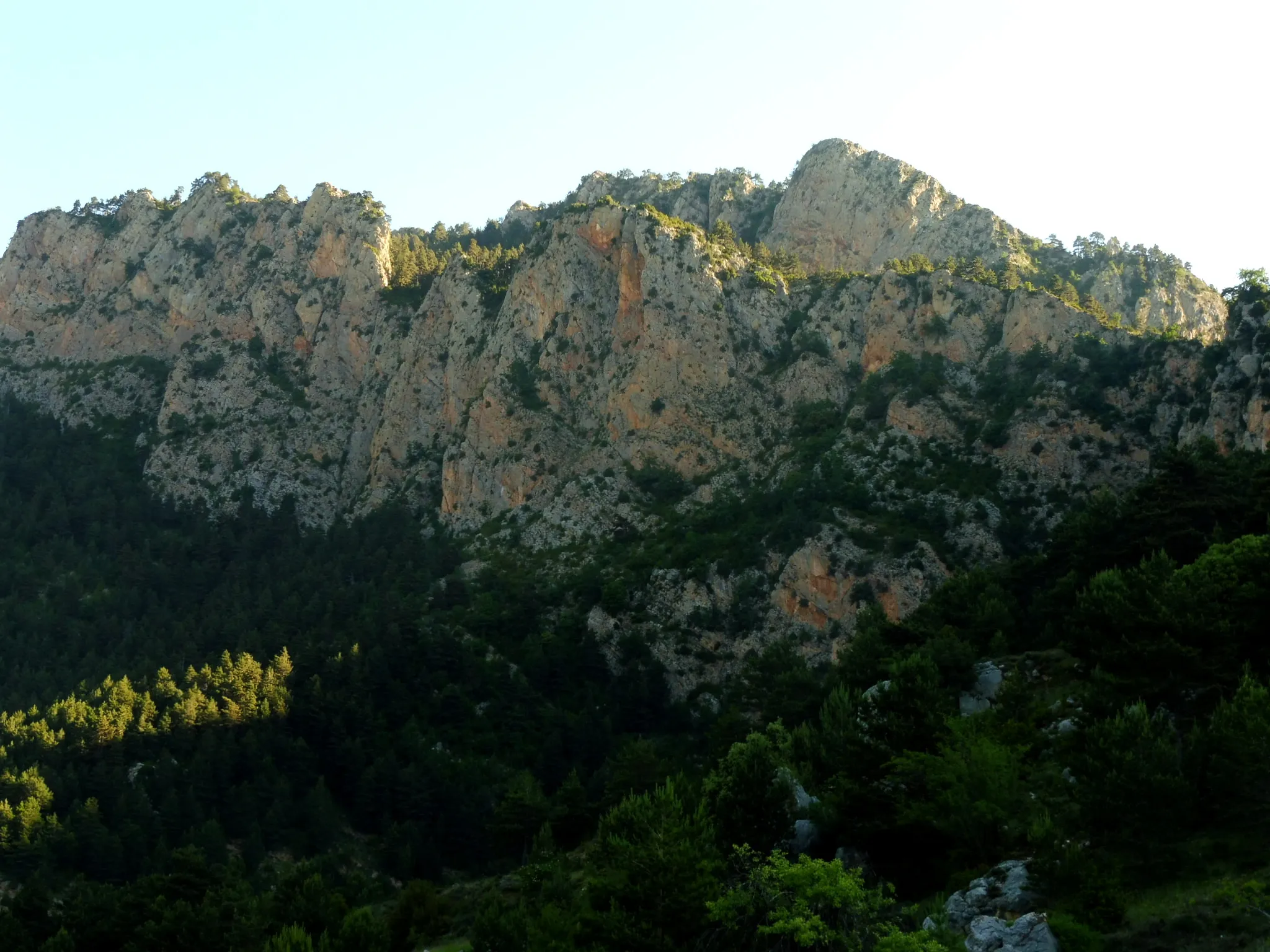 Photo showing: Roc de Migdia dels Clots, als cingles de Carandella (La Coma - Solsonès)