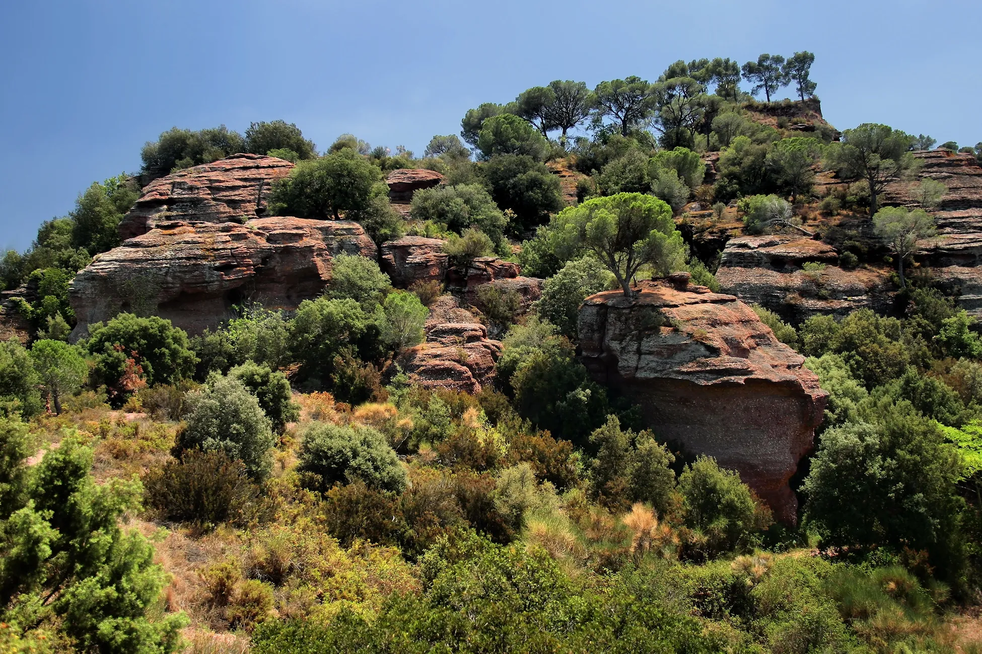 Photo showing: La Serra de les Torretes es un buen mirador sobre Montserrat, Martorell y buena parte de la comarca del Baix Llobregat. Por ella transcurre una gran cantidad de pistas y senderos, que permite recorrer itinerarios variados.