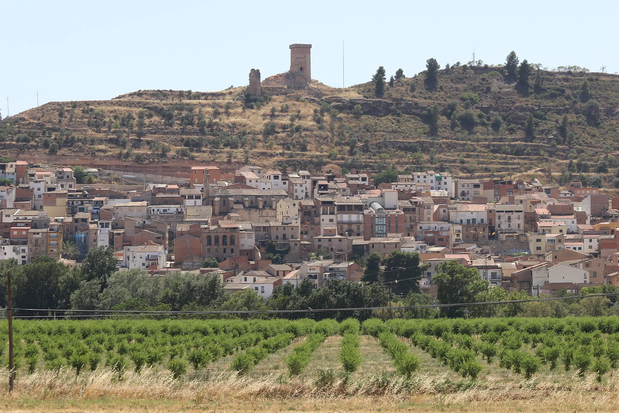 Photo showing: Vista general d'Ascó.
