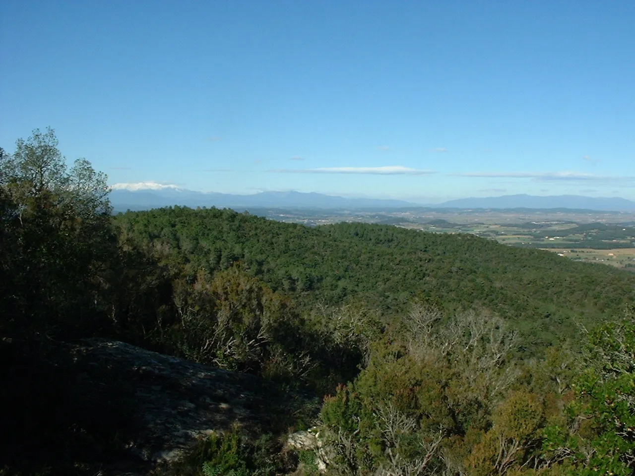 Photo showing: Gavarres mountains, Empordà, Catalonia