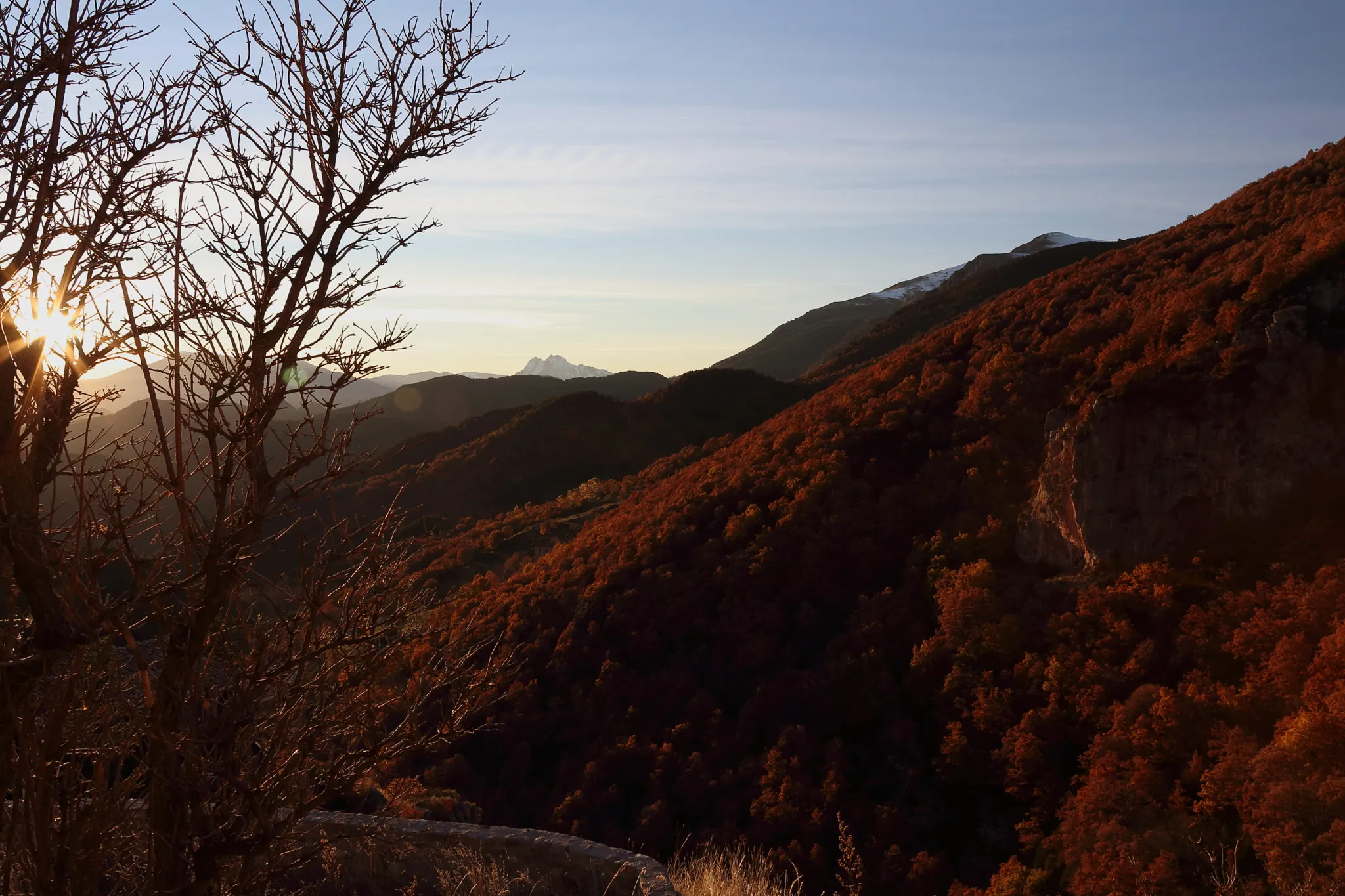 Photo showing: 500px provided description: Autumn in the forests of Castellar de N'Hug - Barcelona [#autumn ,#sky ,#forest ,#sunset ,#light ,#colors]