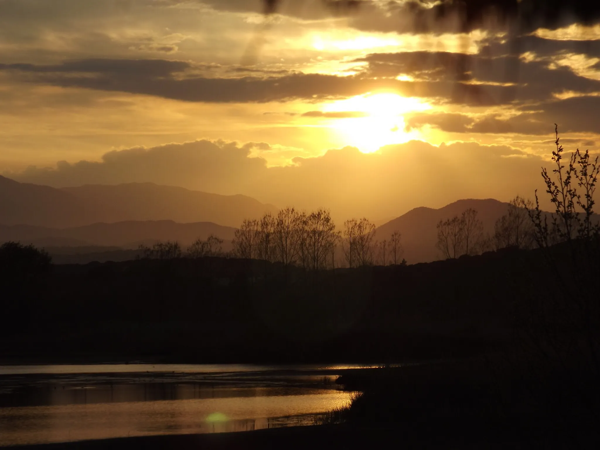 Photo showing: Bany dorat, Estanys de Sils