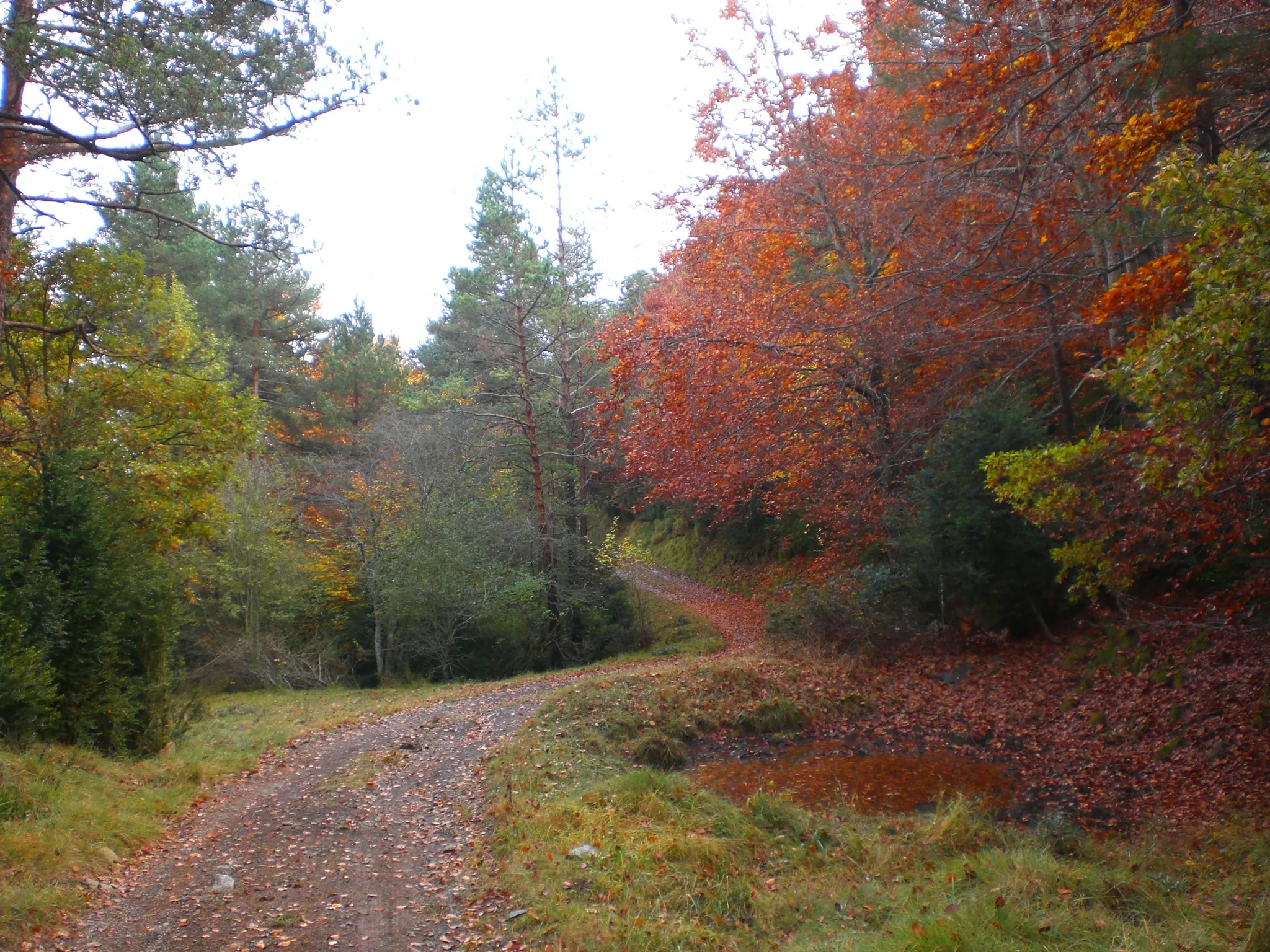 Photo showing: Entorn a la Serra de Sant Marc, Brocà (octubre 2011)