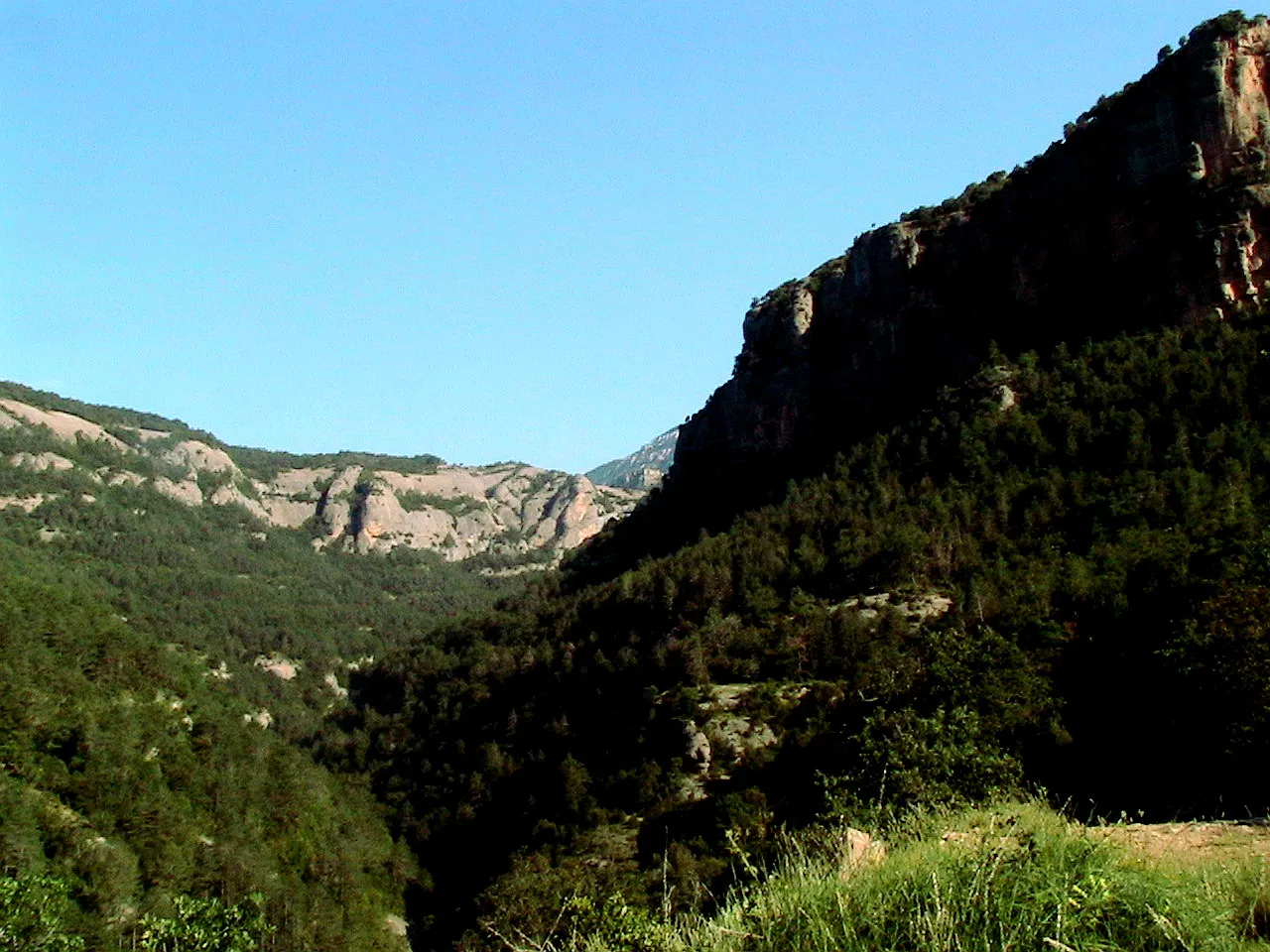 Photo showing: La Rasa de Torroella vista des de la seva desembocadura. Vall de Lord (Solsonès - Catalunya)